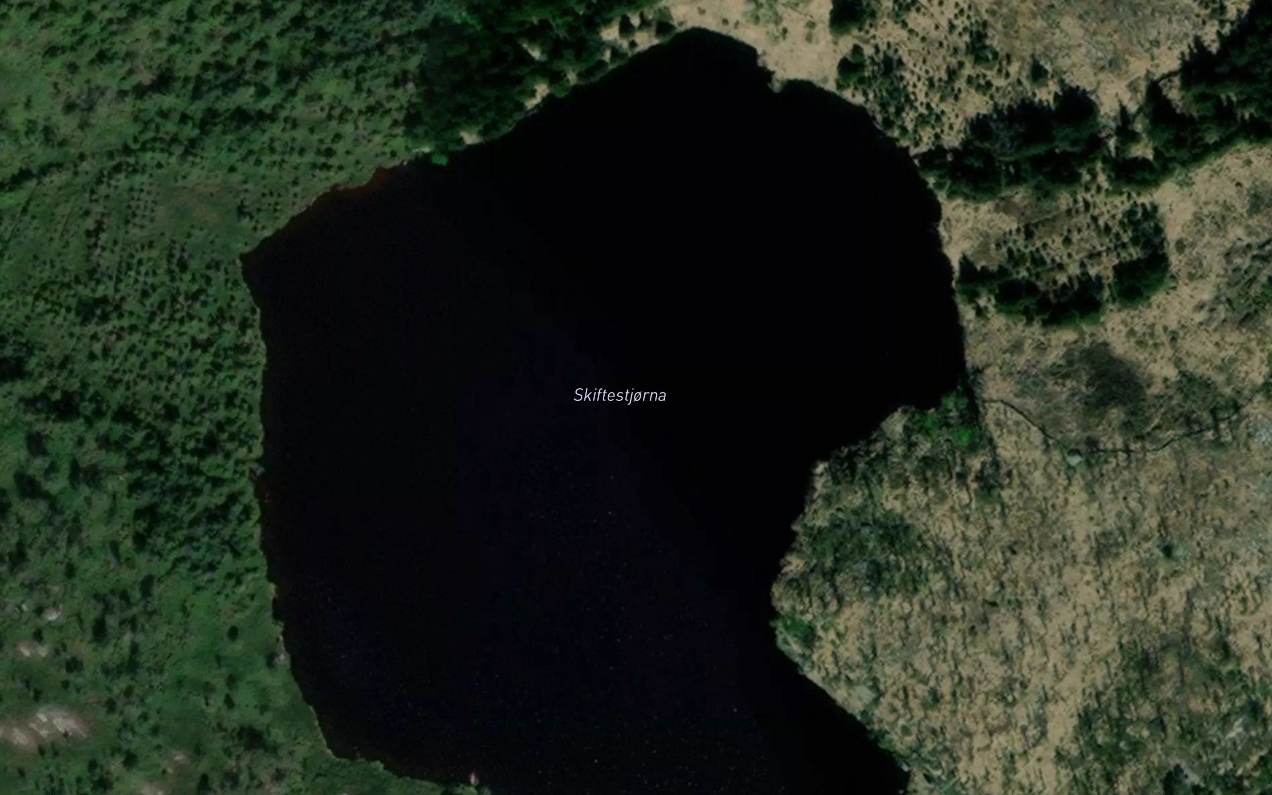 Skiftestjorna
