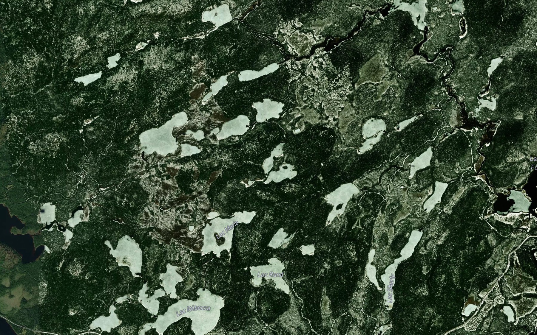 Satellite map of the Lac Wamba