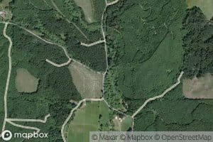 North Fork Pedee Creek