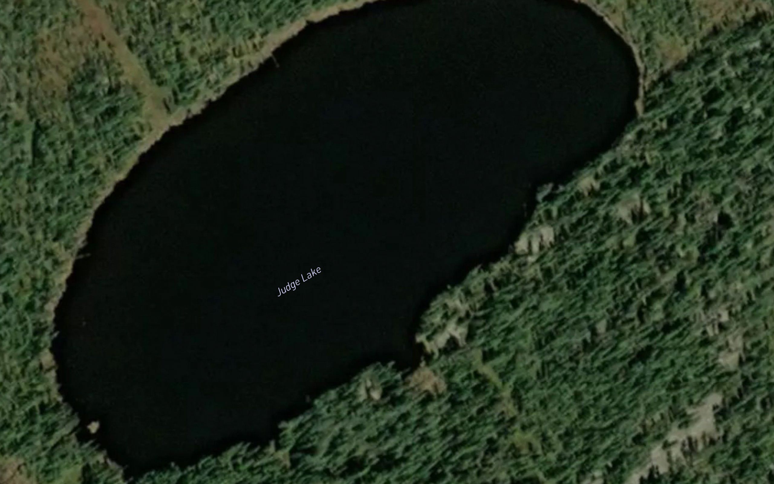 Judge Lake