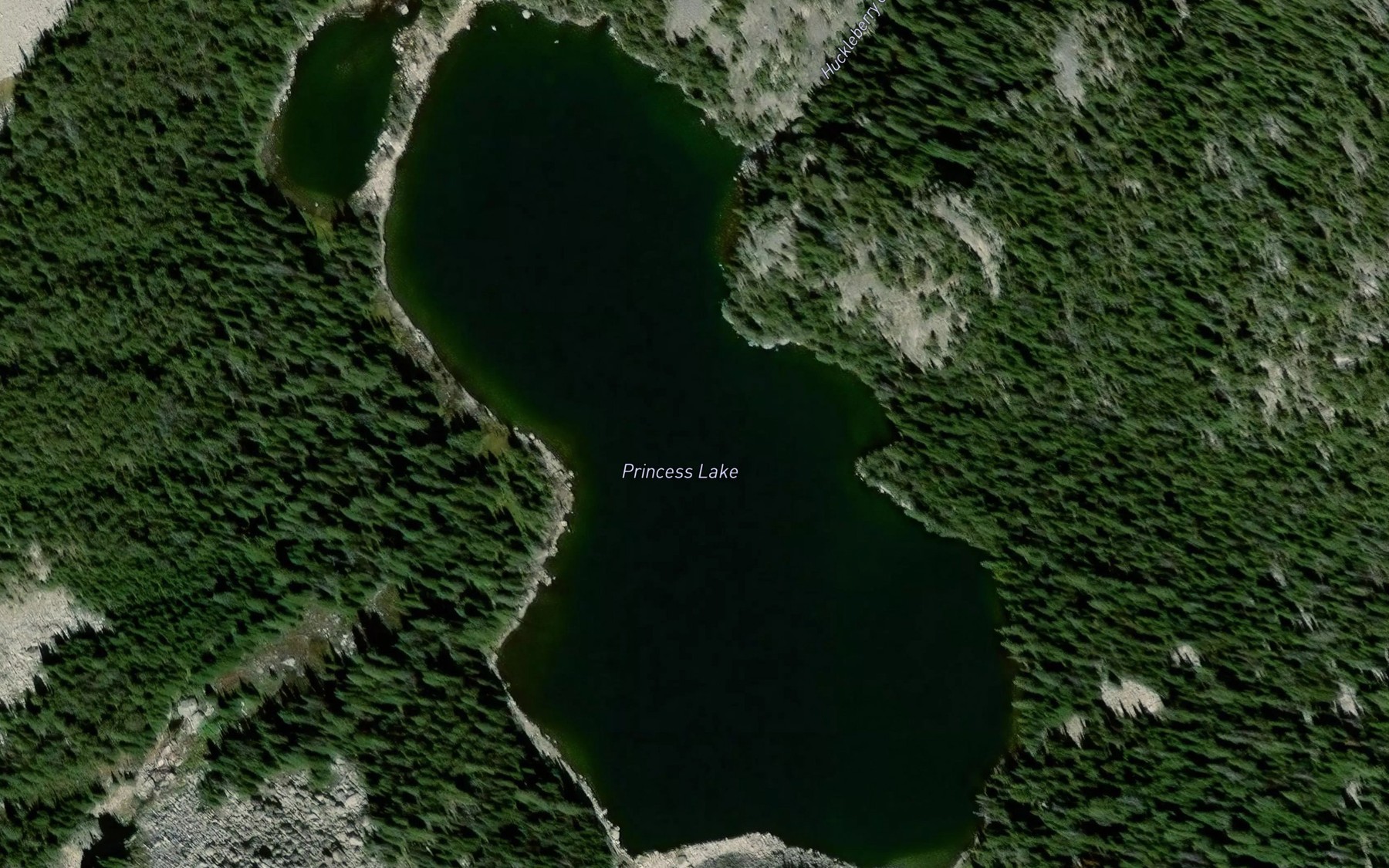 Satellite map of the Princess Lake