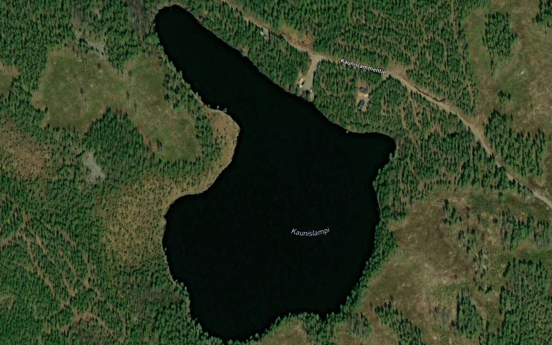 Satellite map of the Kaunislampi