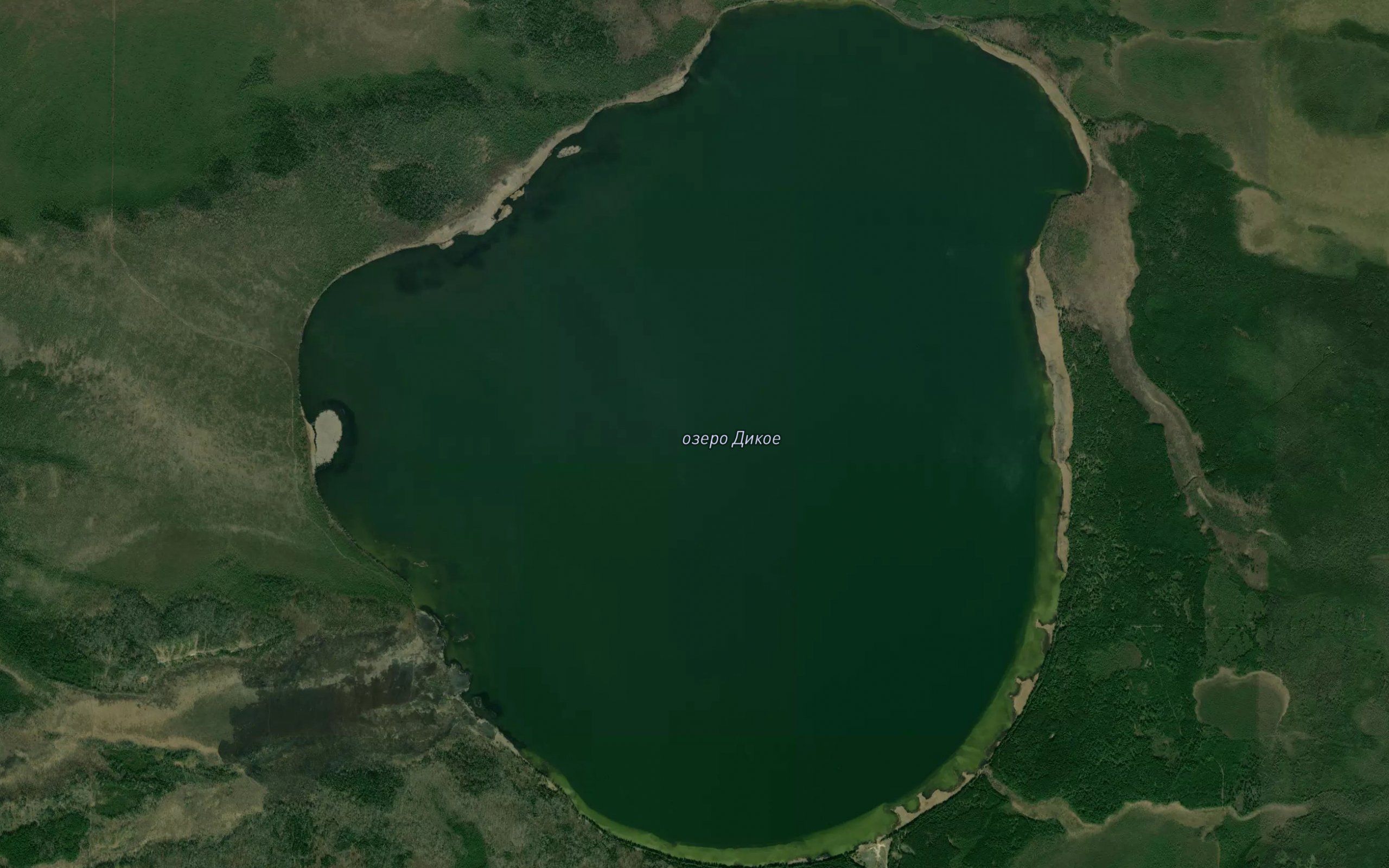 Ozero Dikoye