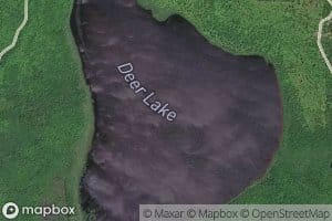 Deer Lake