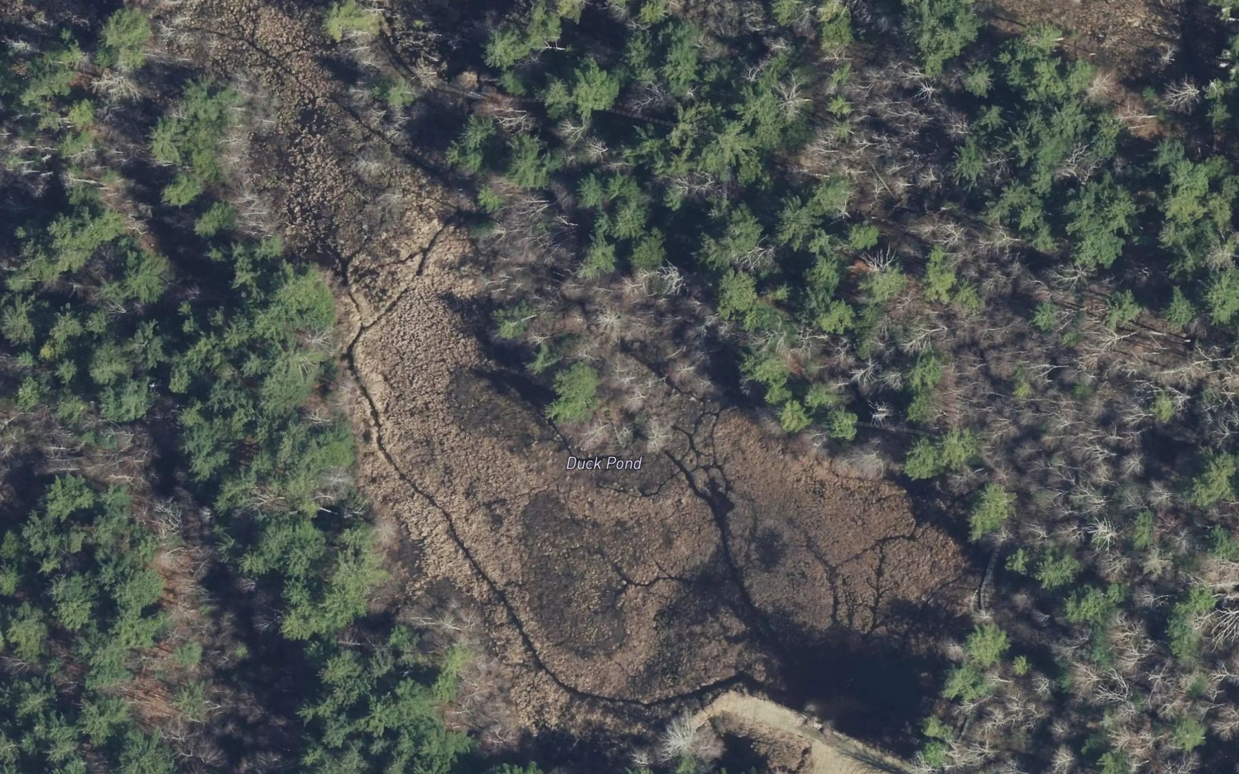 Satellite map of the Duck Pond