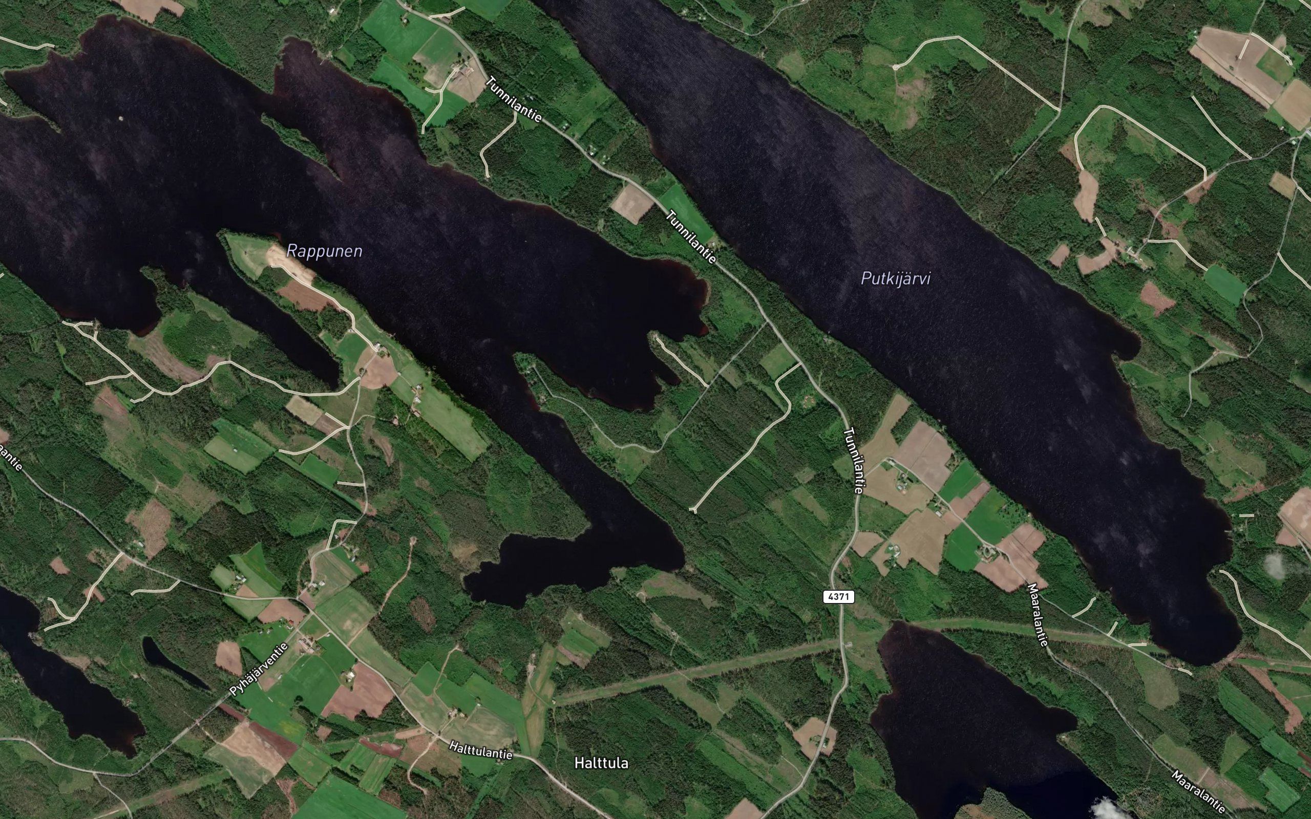 Hirvosenjoki