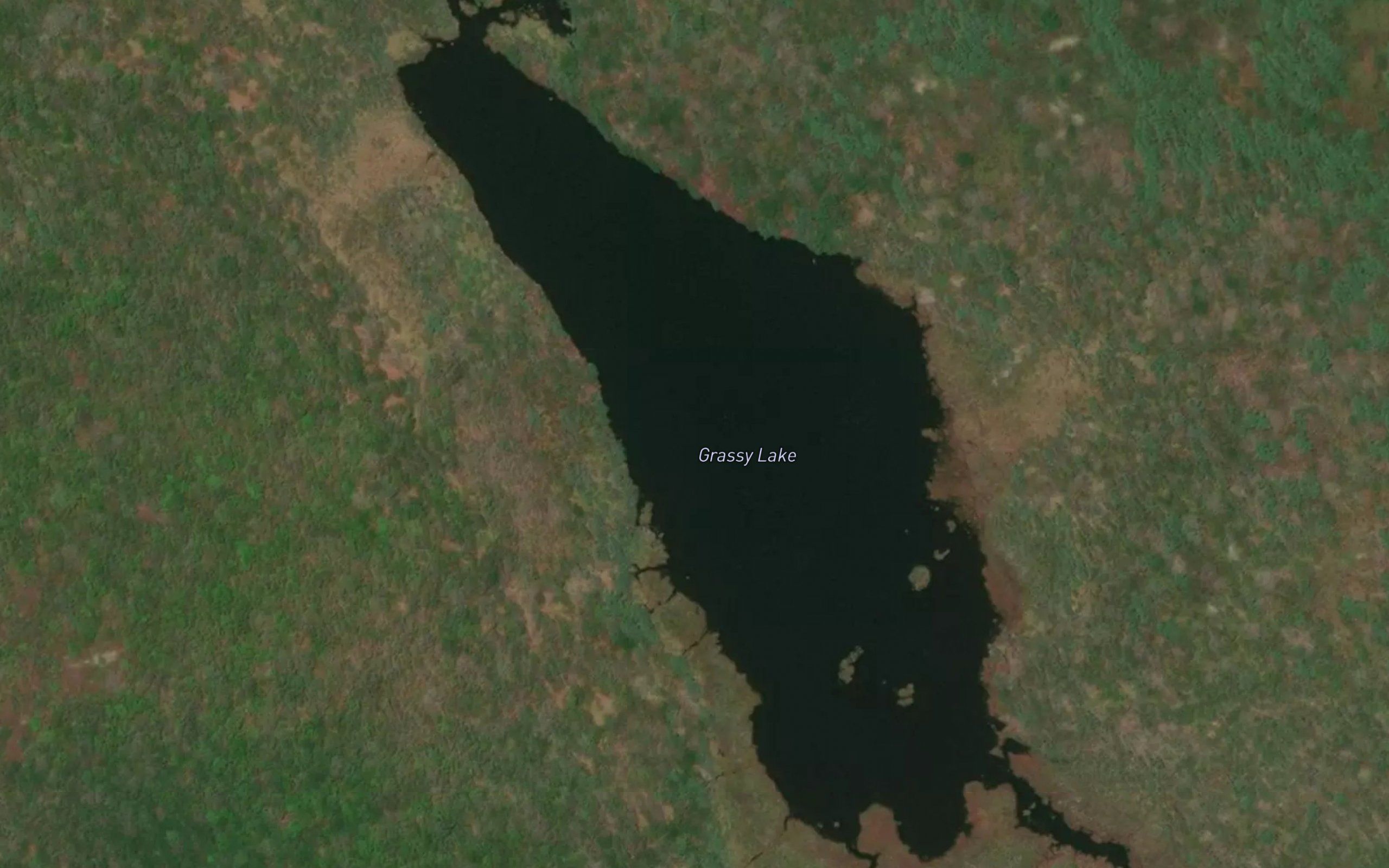 Grassy Lake