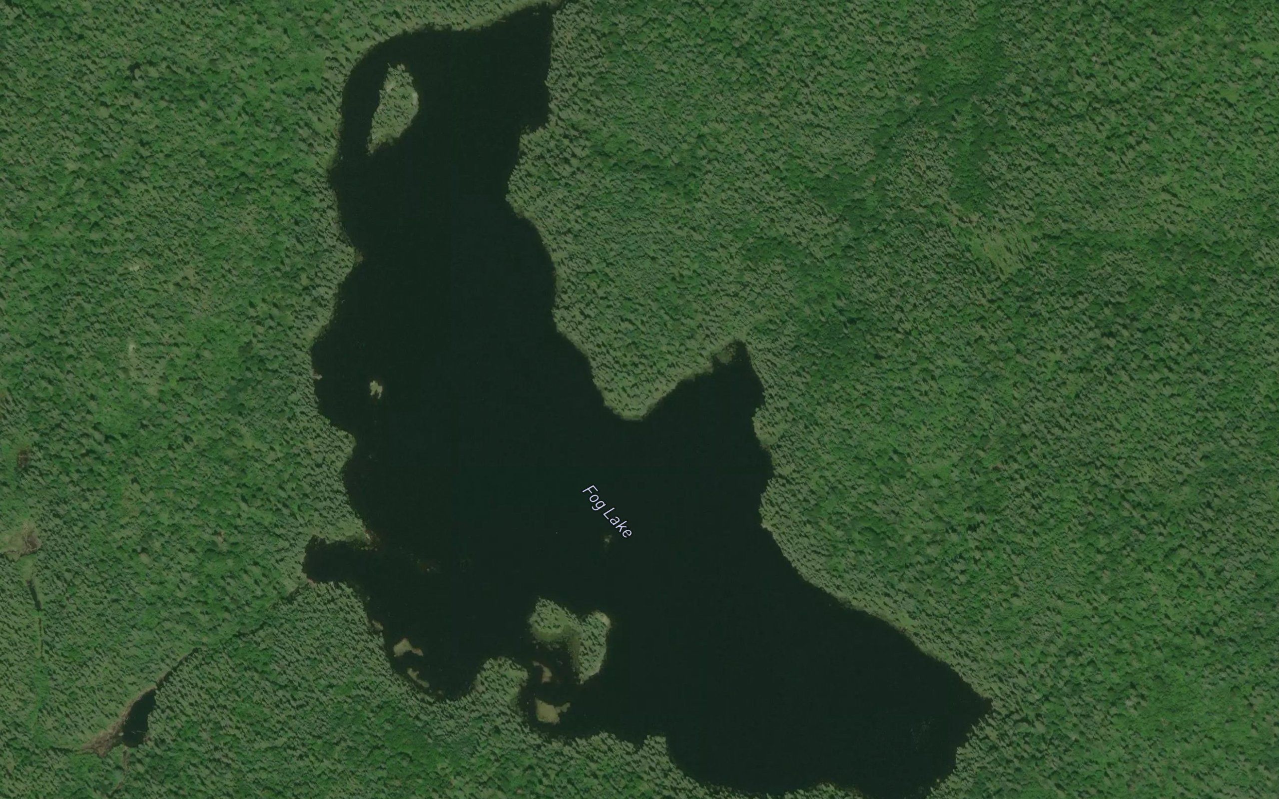Fog Lake