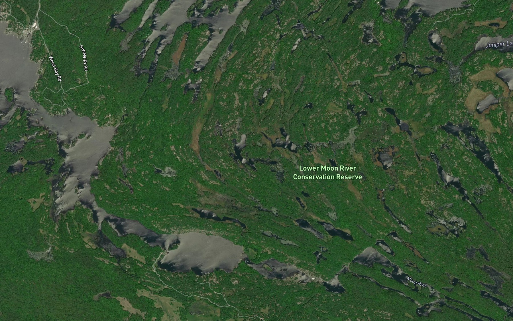 Satellite map of the Foreman Lake