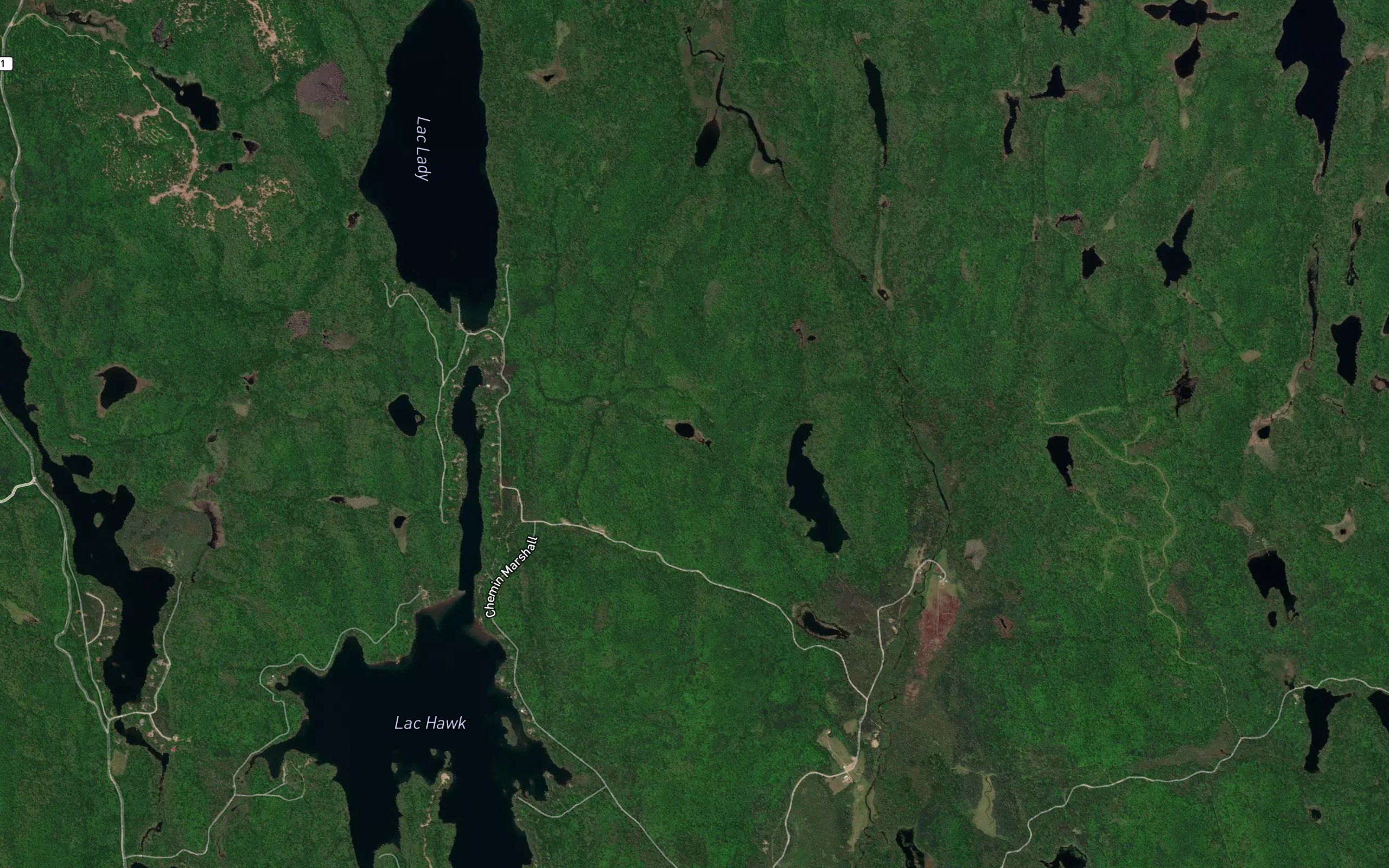 Etang des Pissenlits