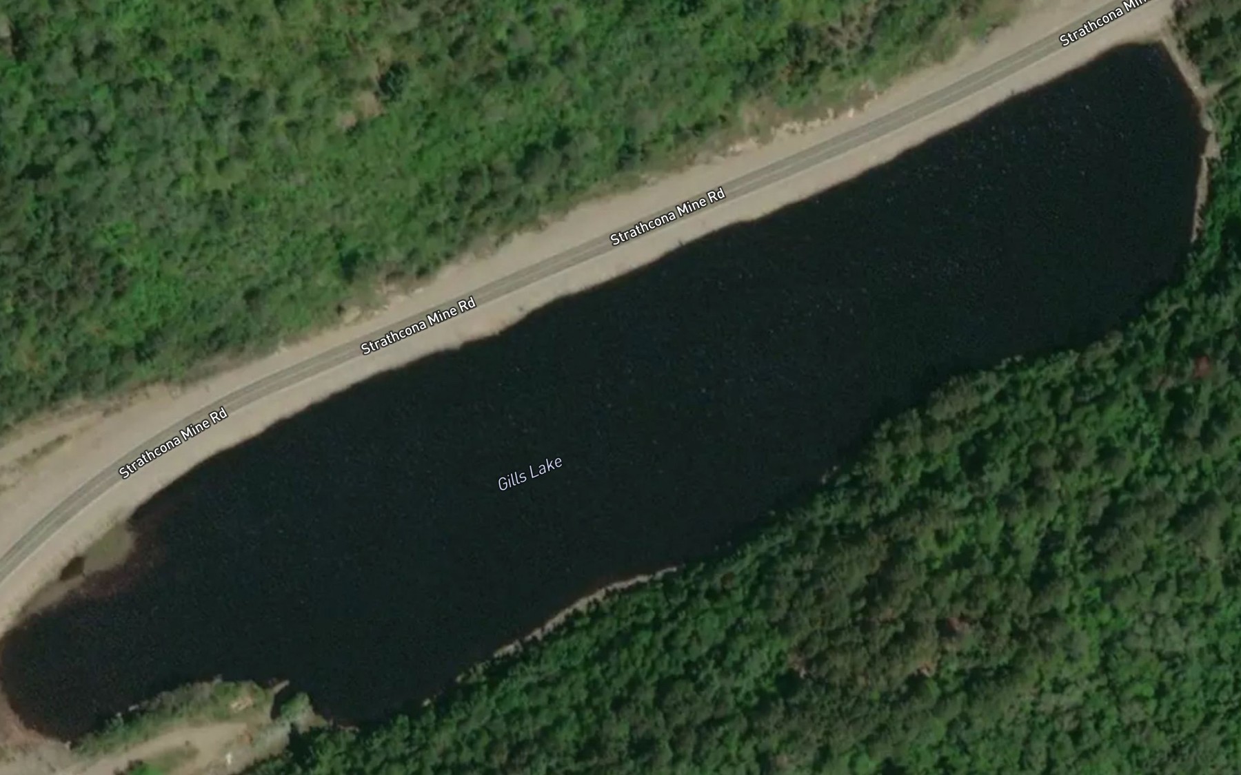 Satellite map of the Mosquito Lake