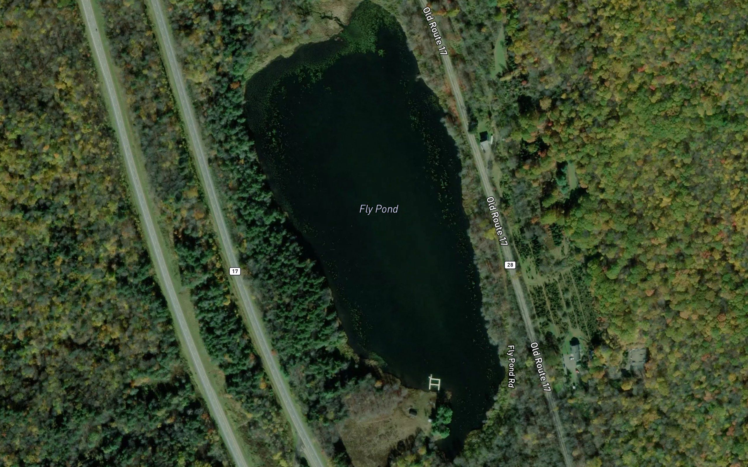 Fly Pond