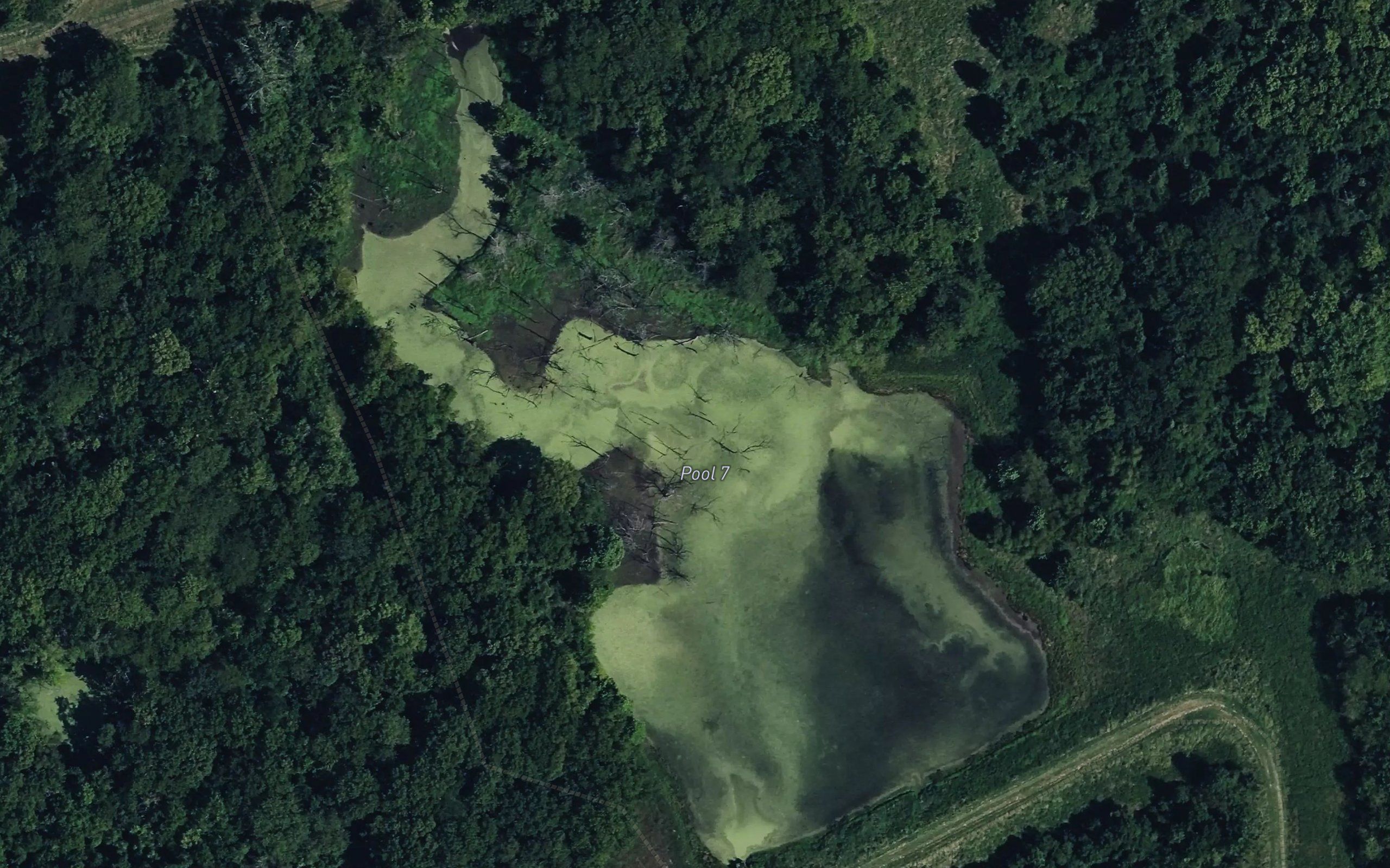 Cottontail Lake
