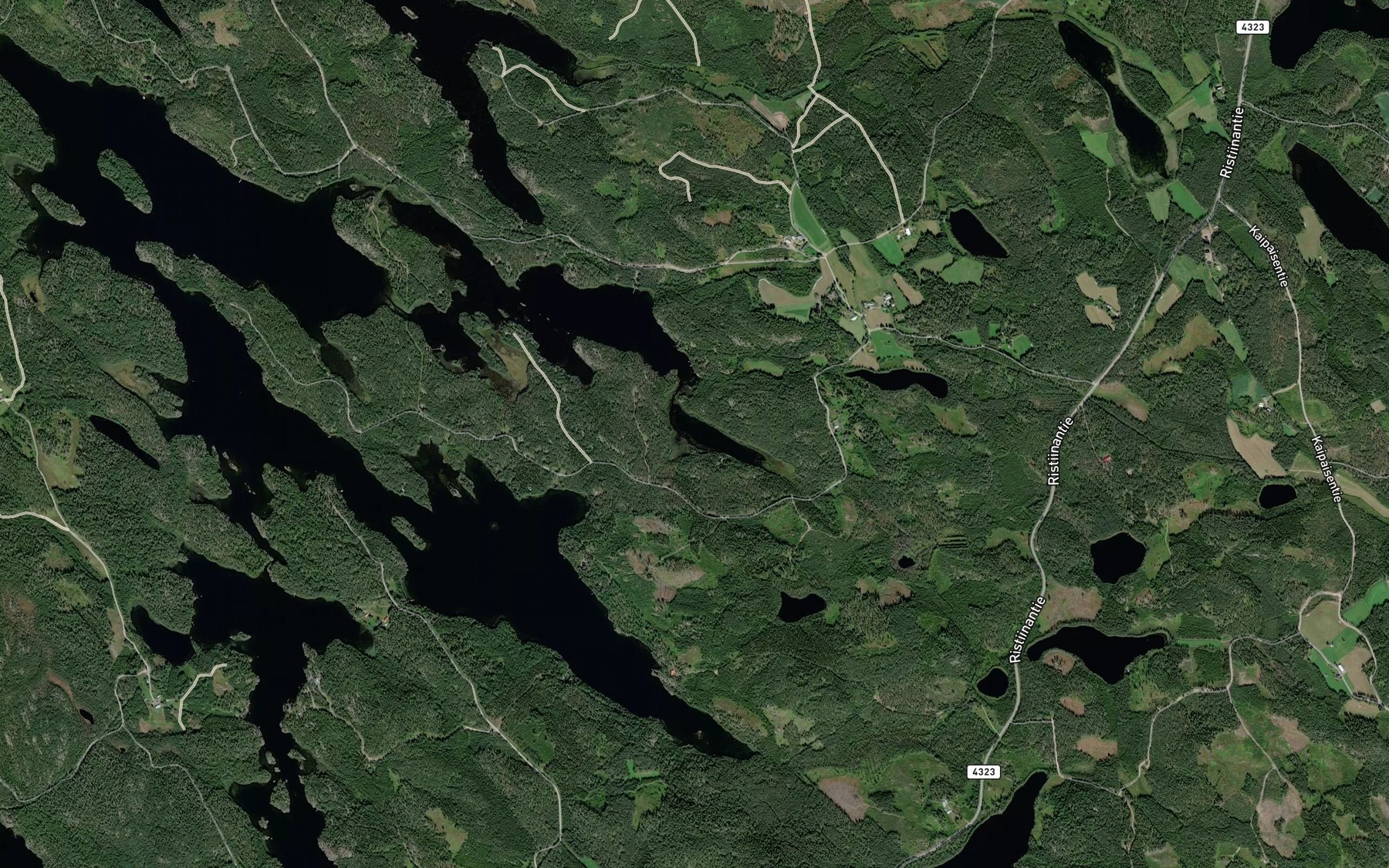 Satellite map of the Pitkalahti