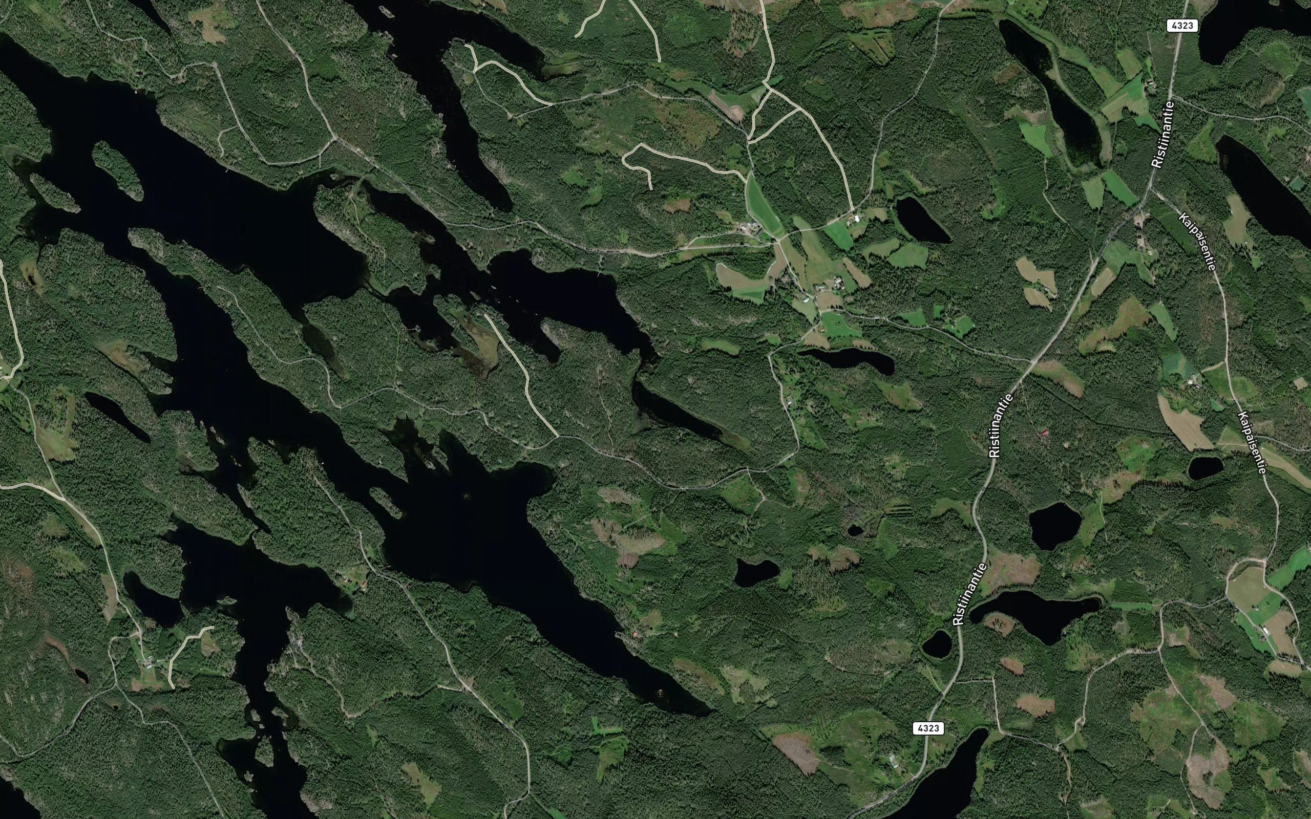 Pitkalahti
