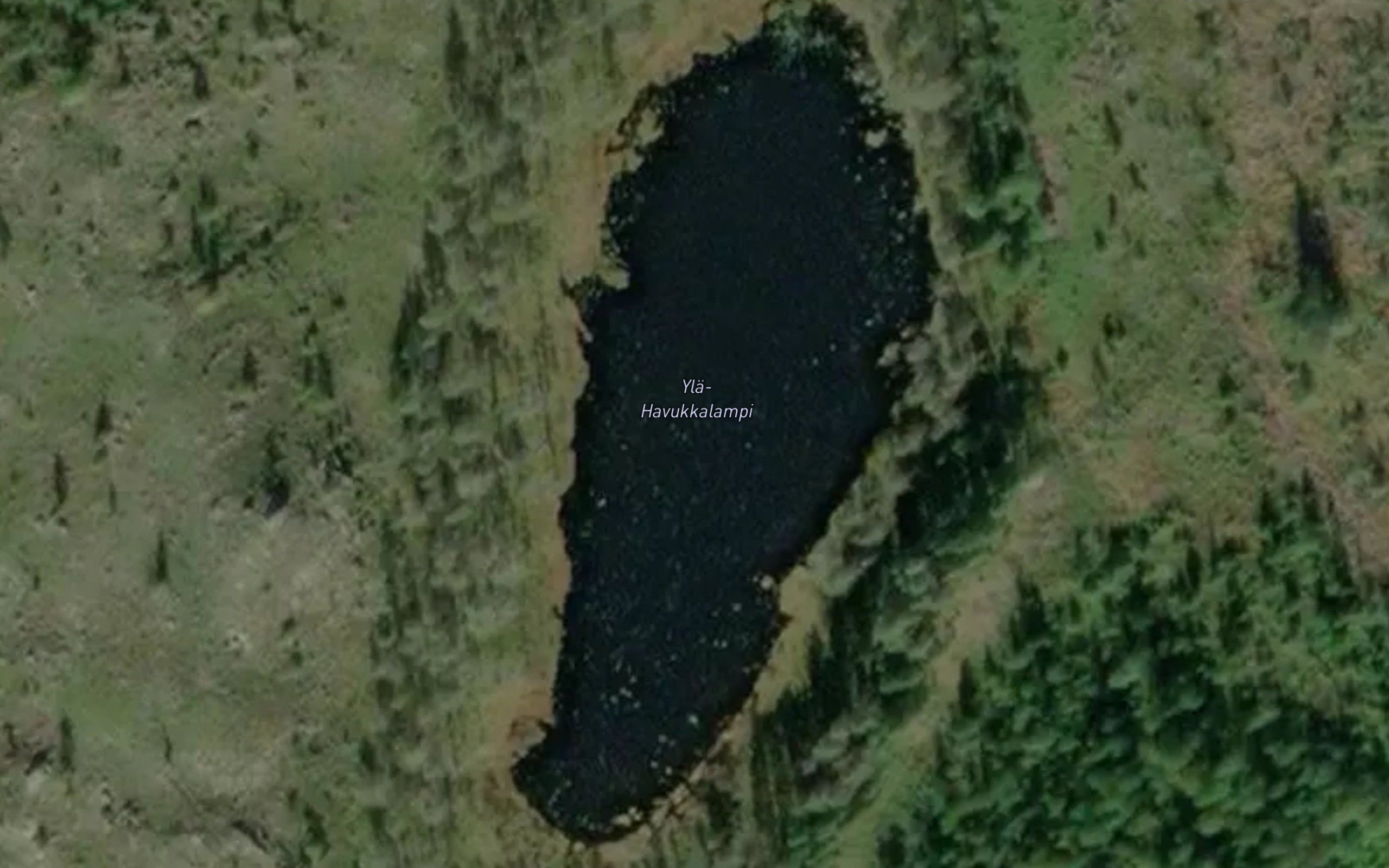 Yla-Havukkalampi