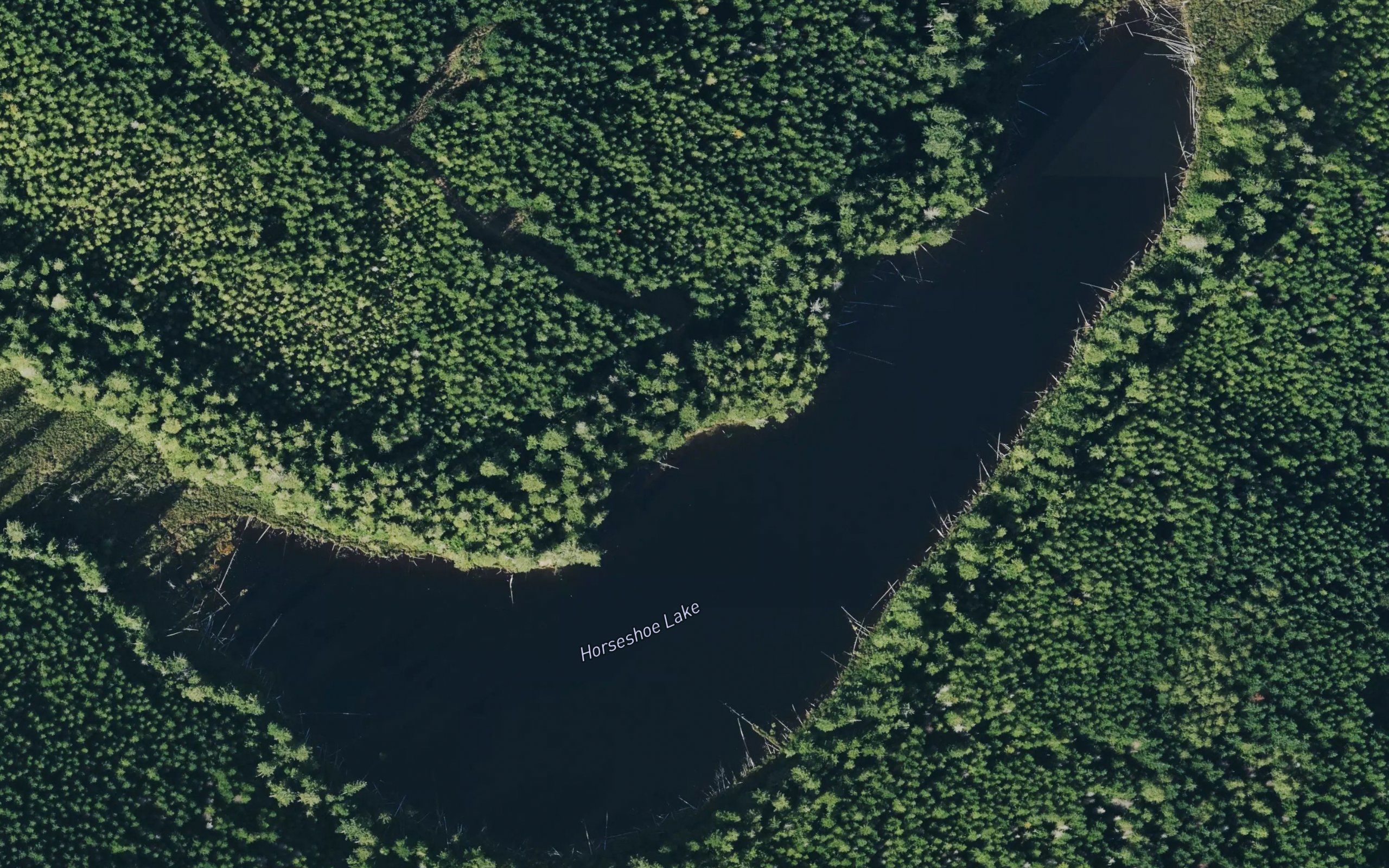 Horseshoe Lake
