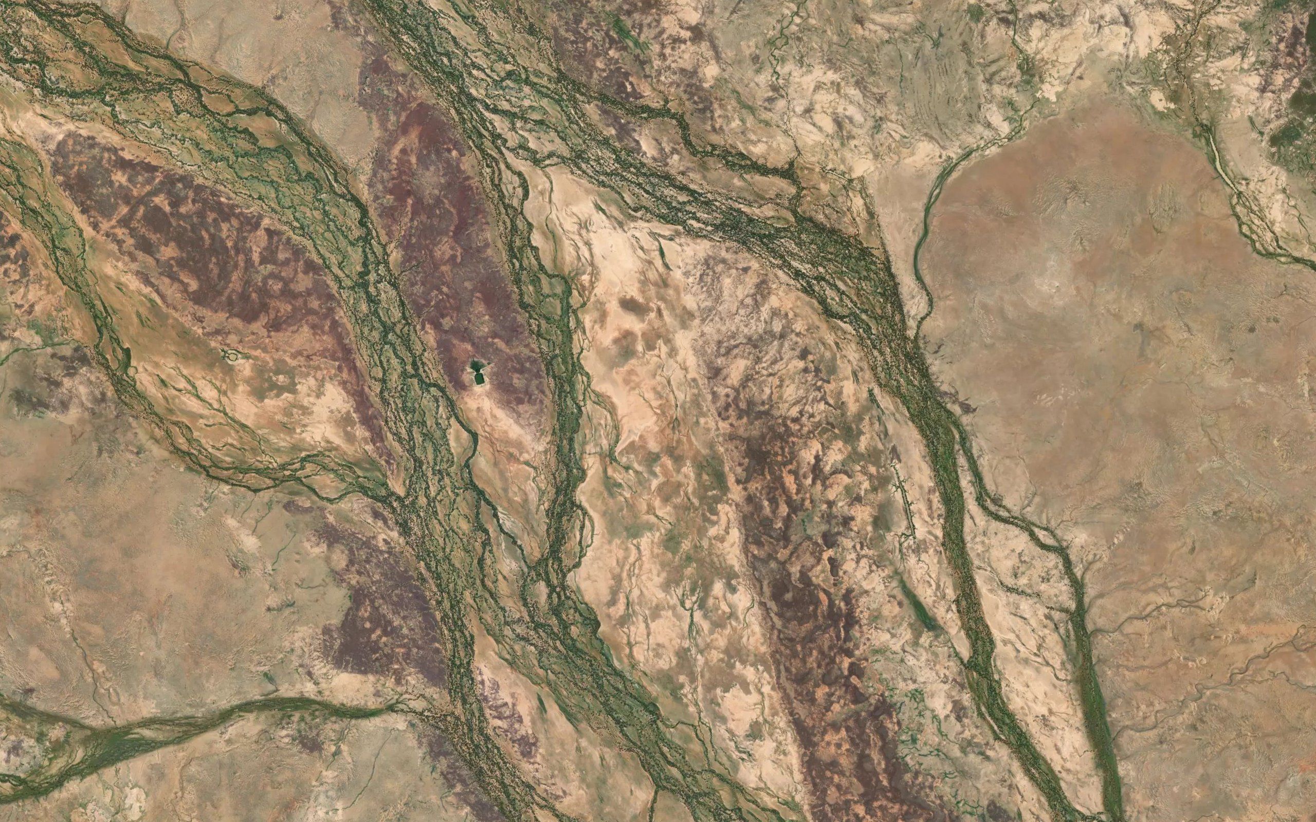 Whistling Duck Creek