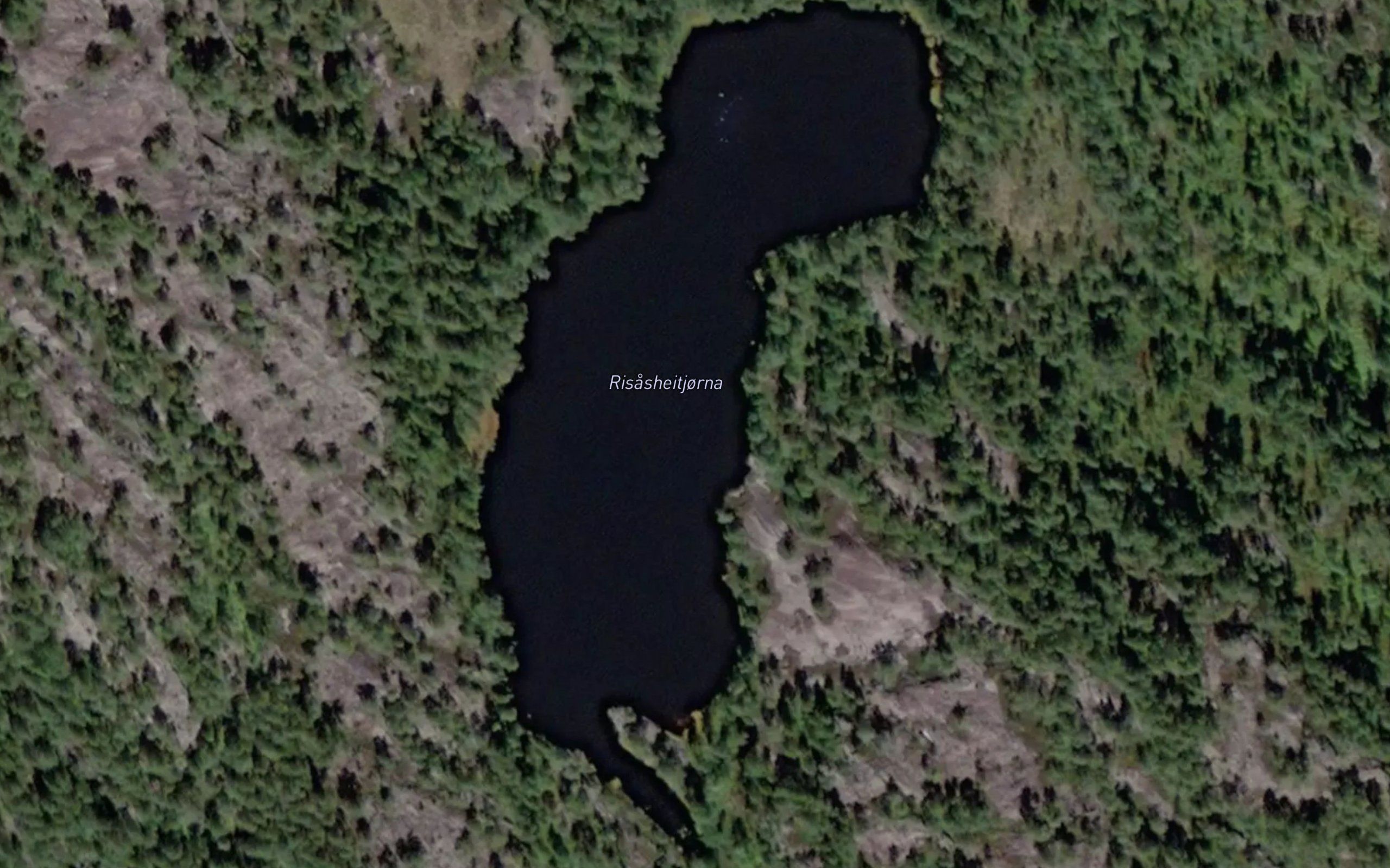 Risasheitjorna