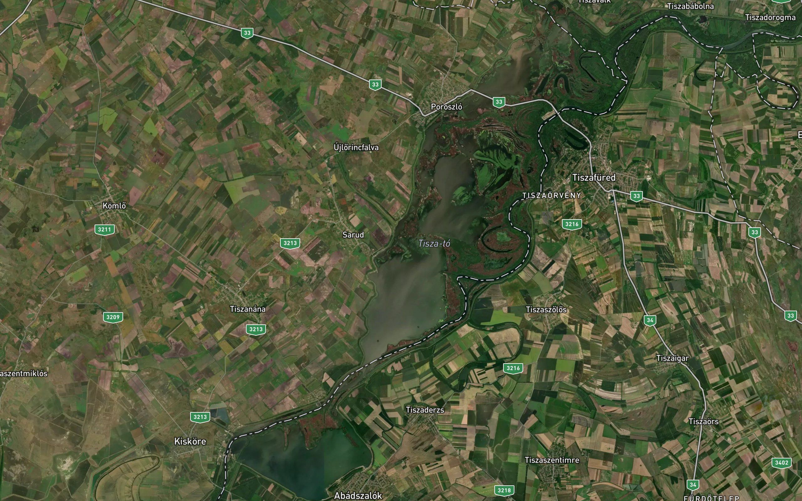 Dog-Tisza