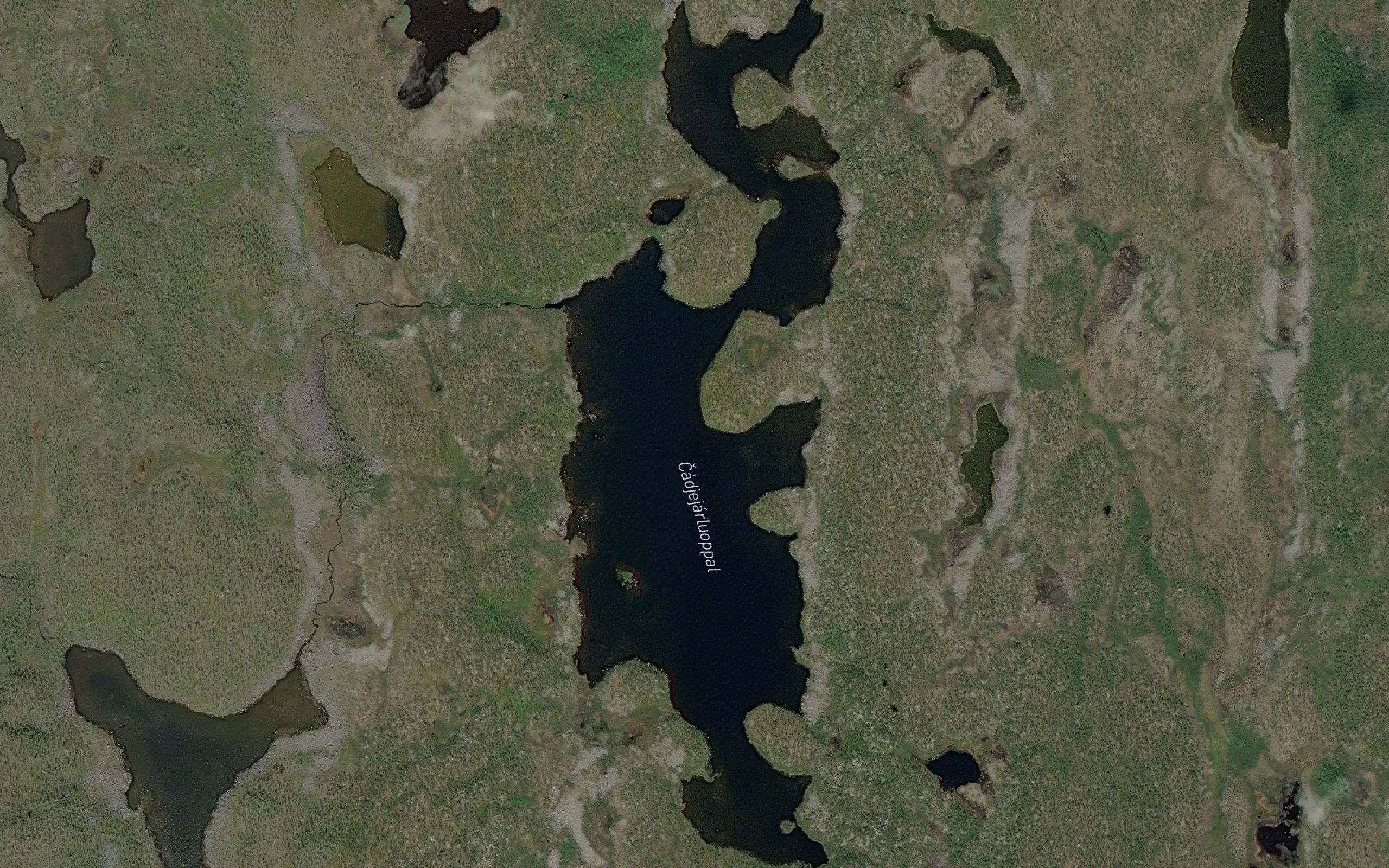 Caddjejarluobbal