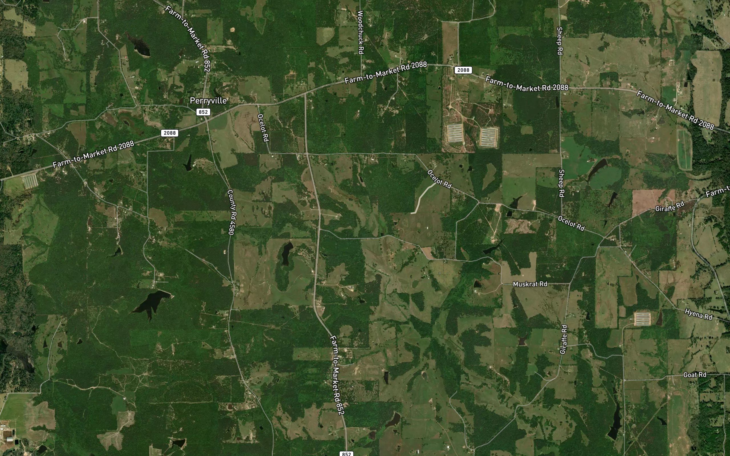 Wallace Branch