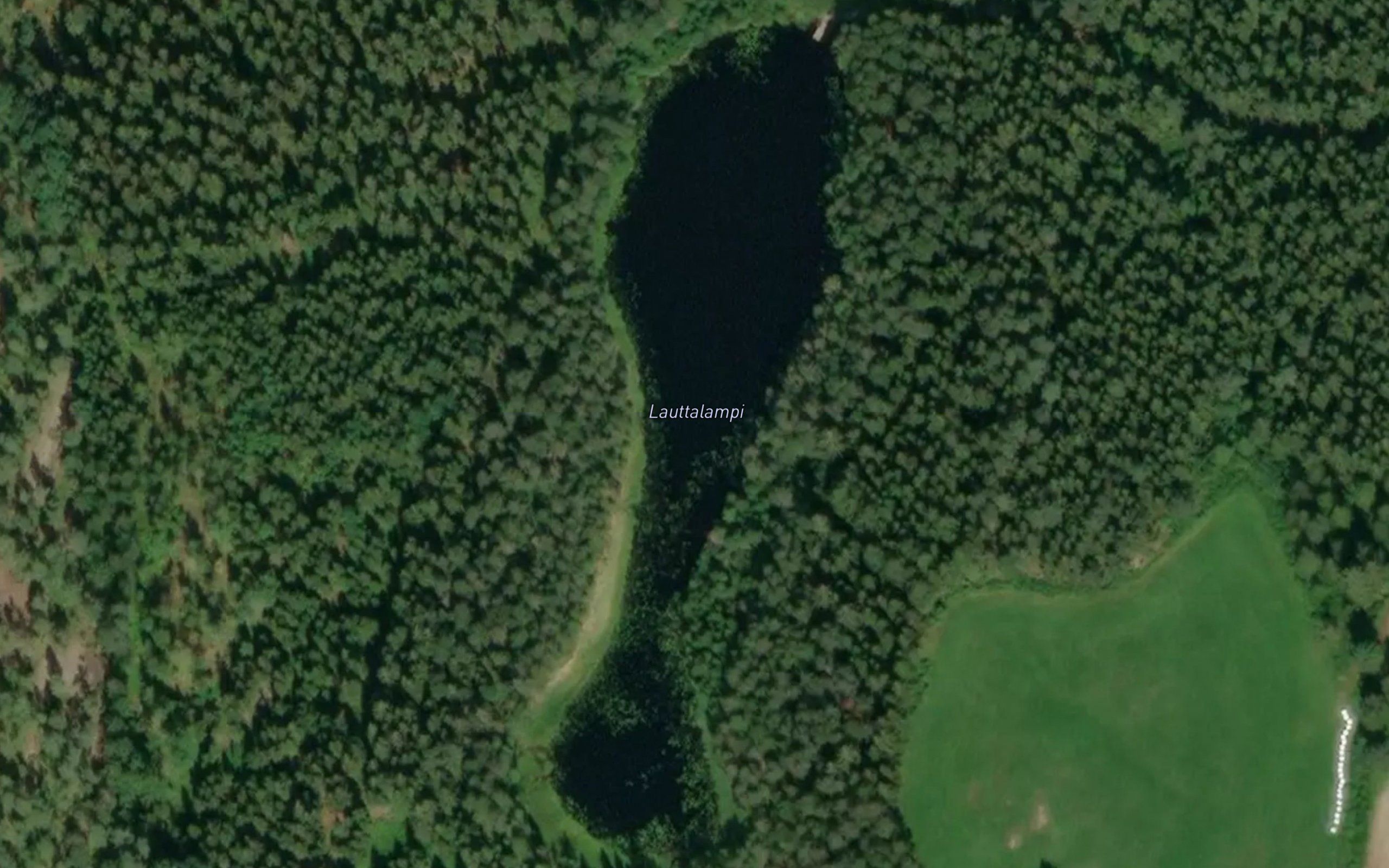 Lauttalampi