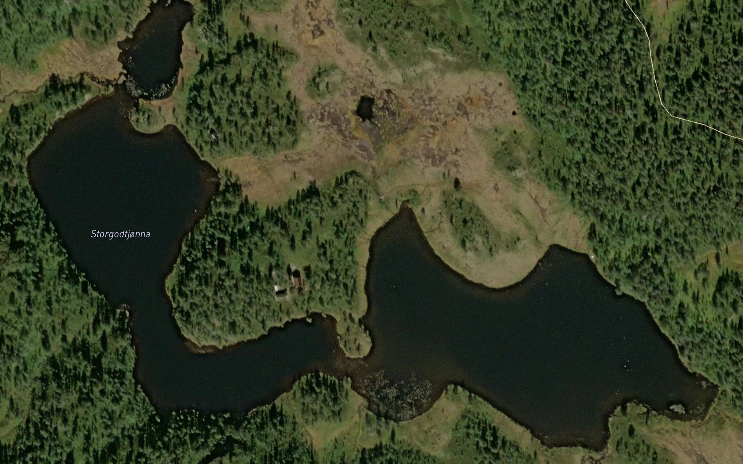 Storgodtjorna