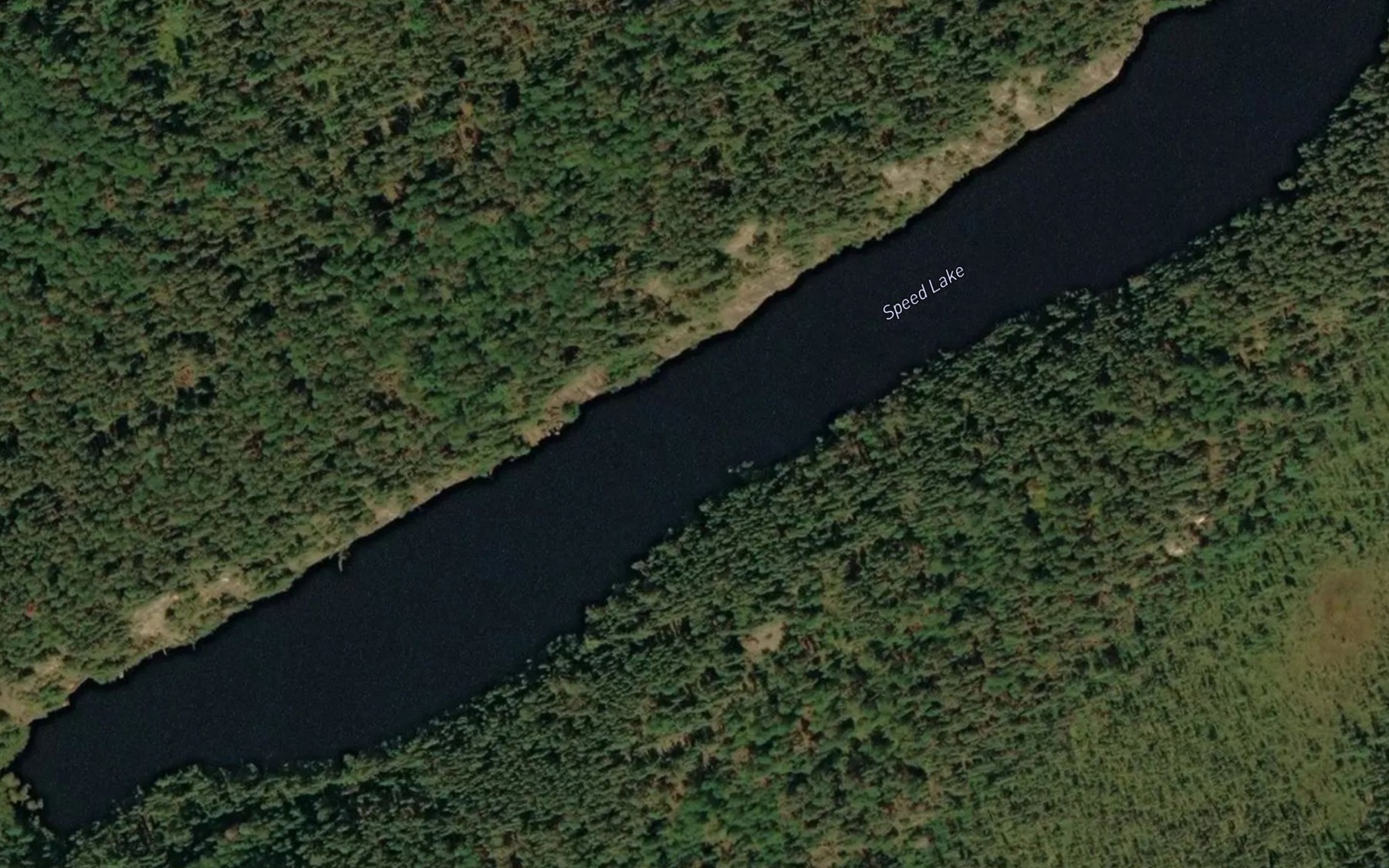 Satellite map of the Speed Lake