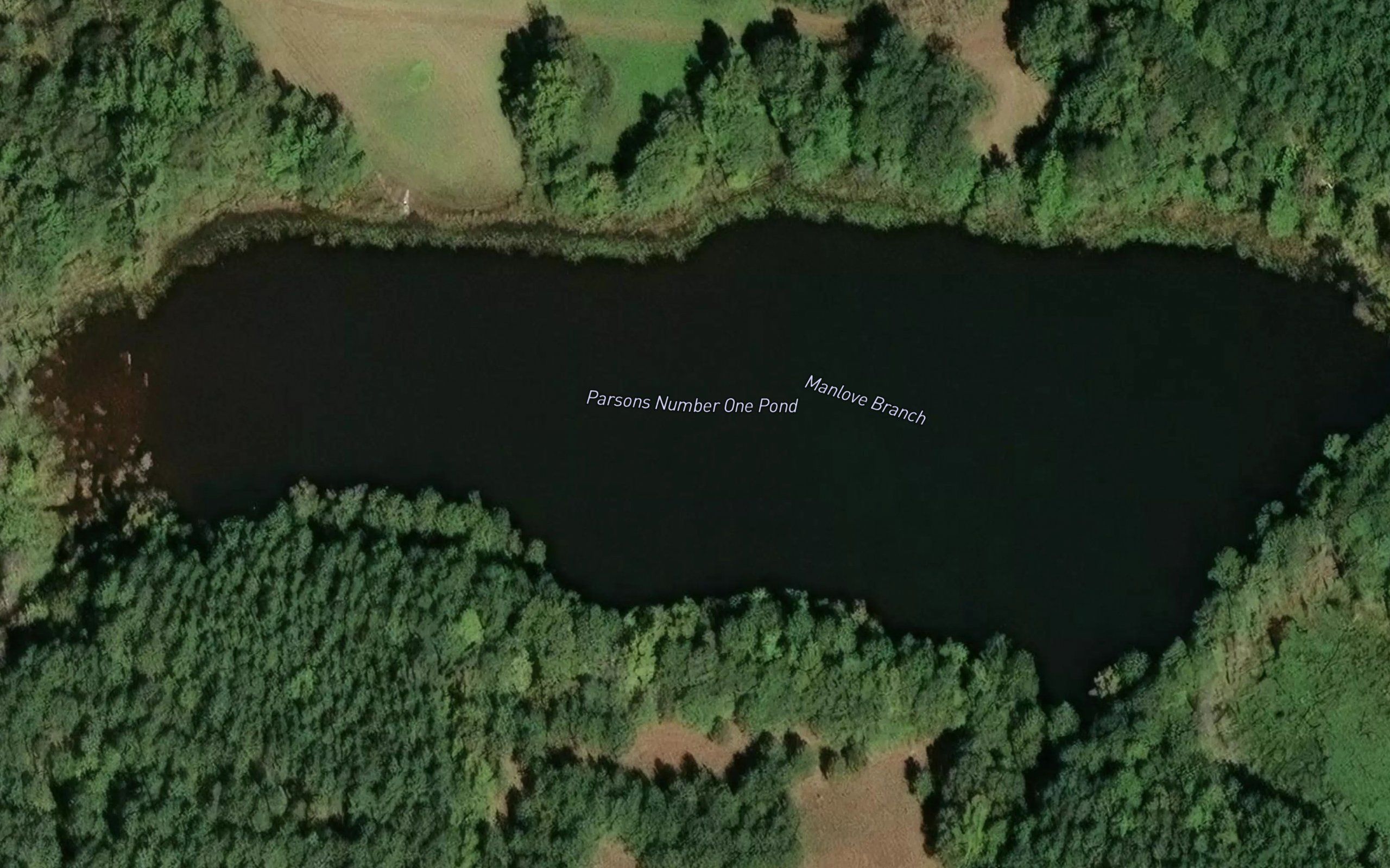 Parsons Number One Pond