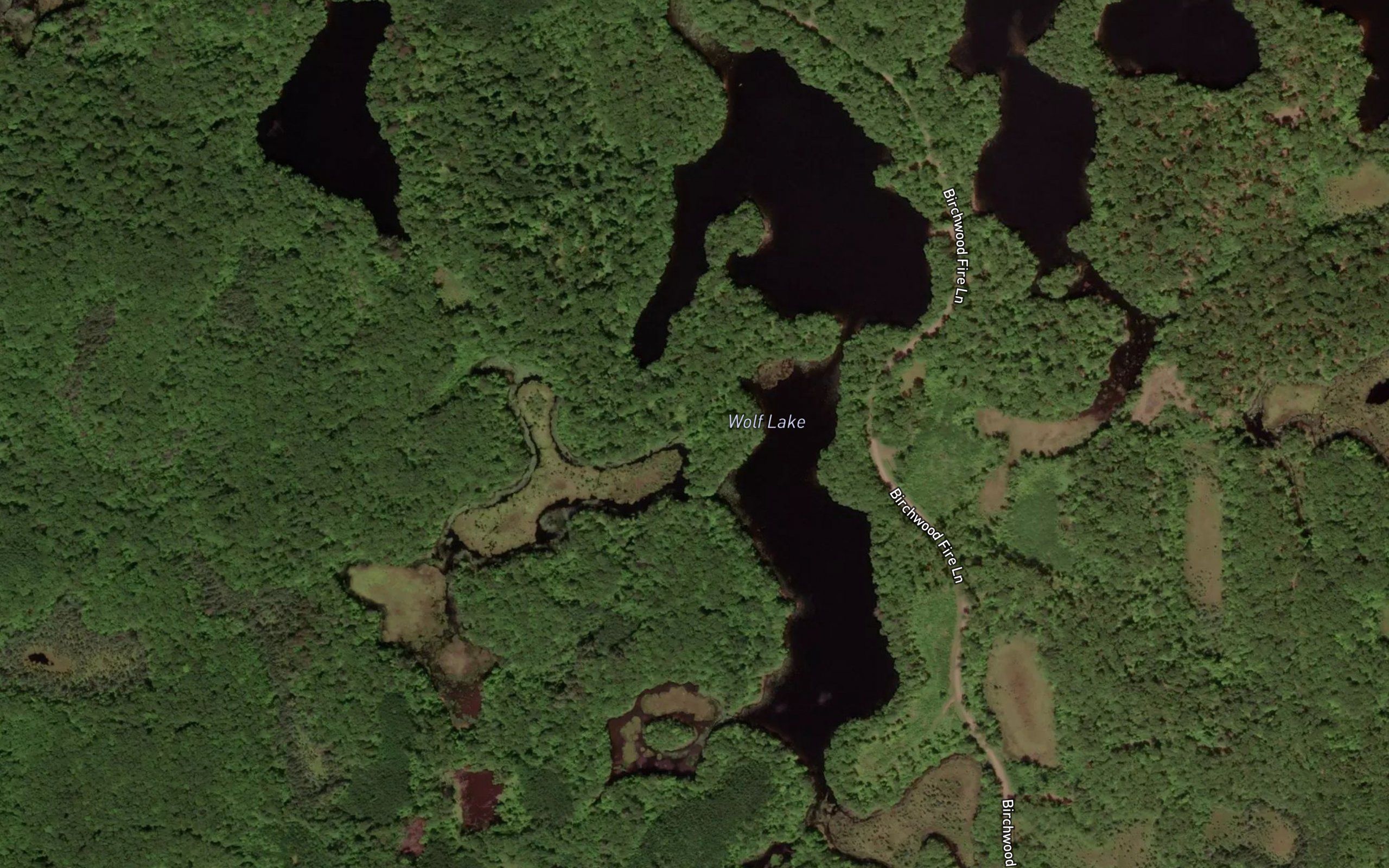 Wolf Lake