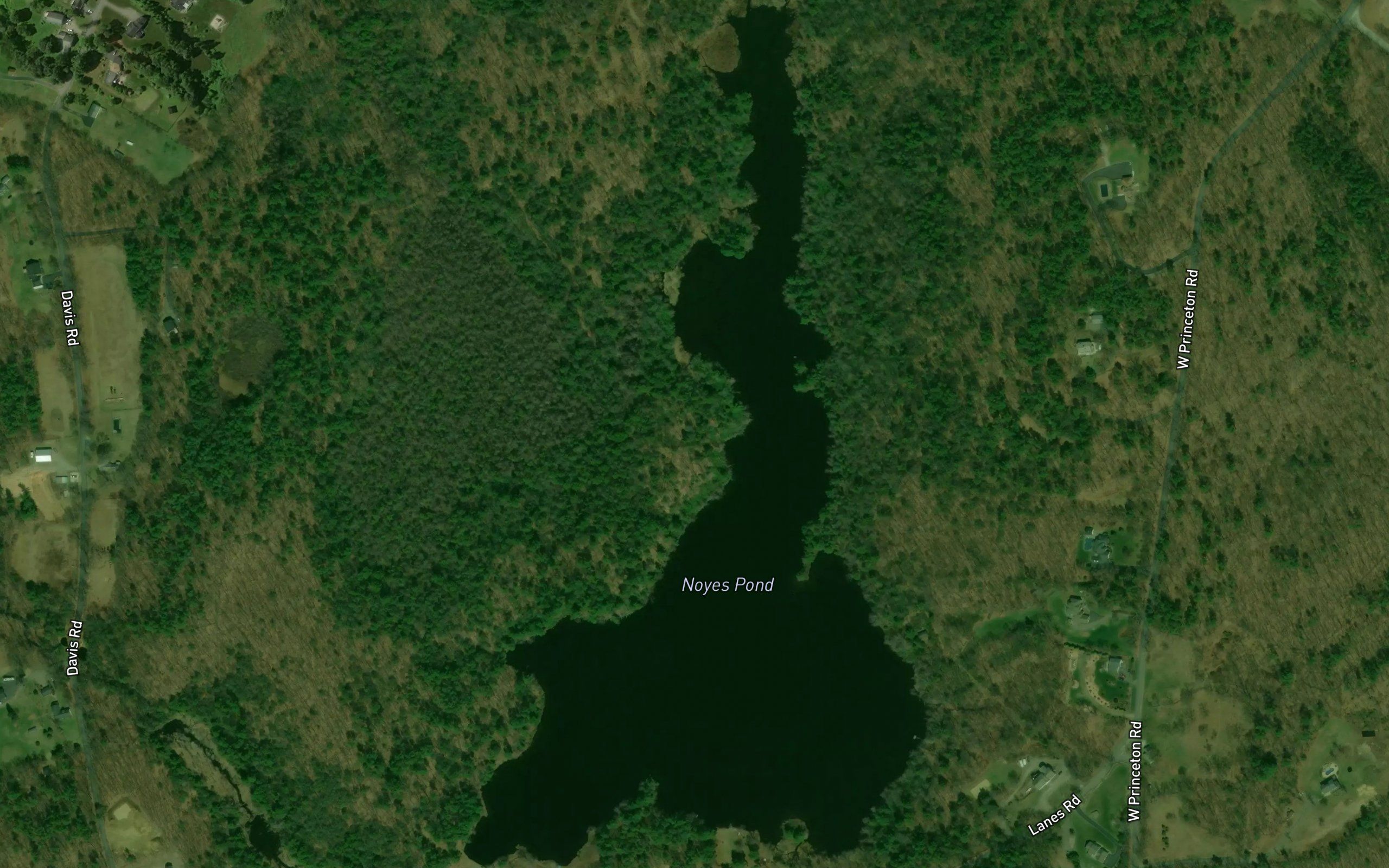 Noyes Pond