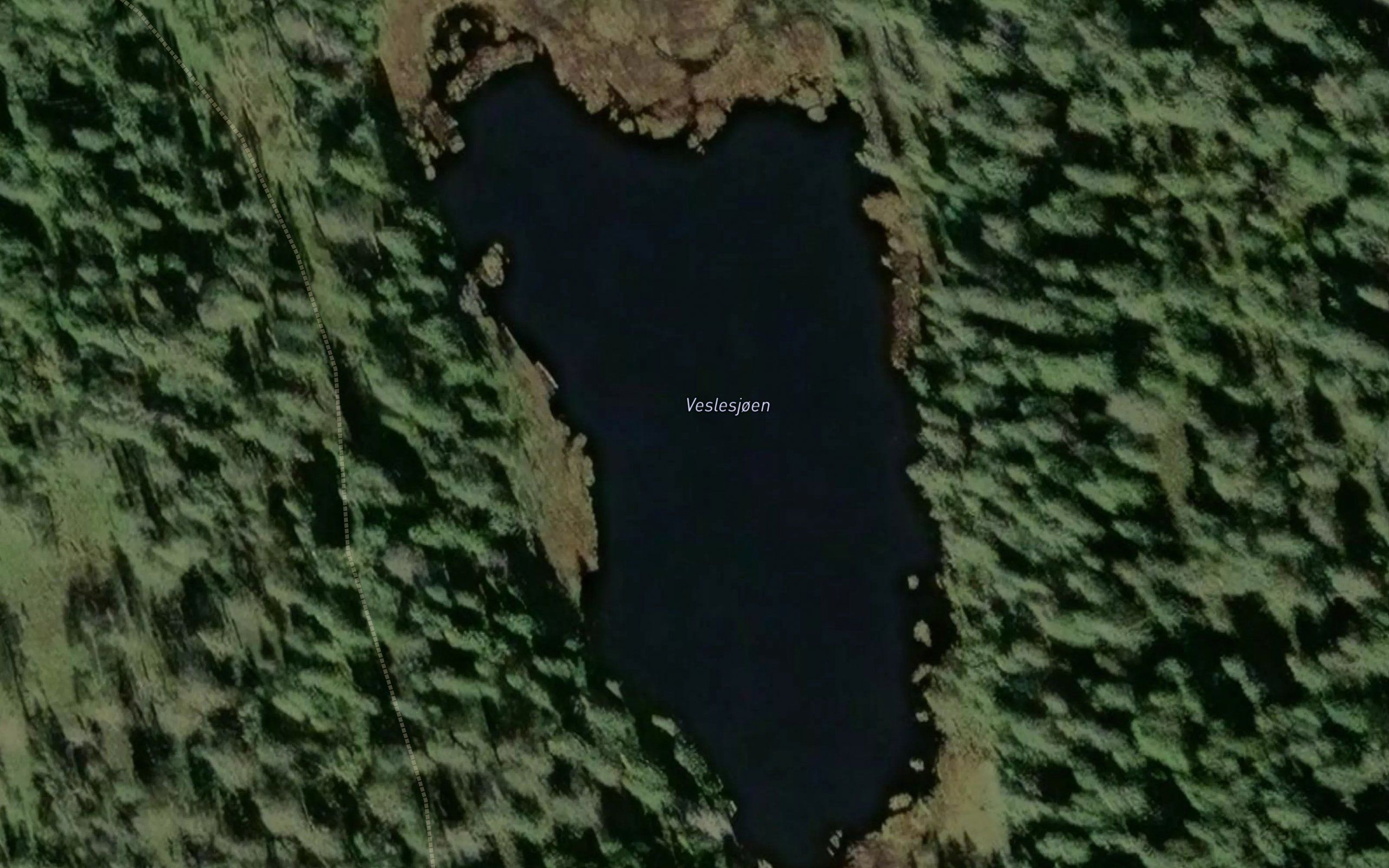 Veslesjoen