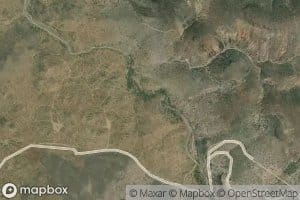 Mesquite Thicket Spring