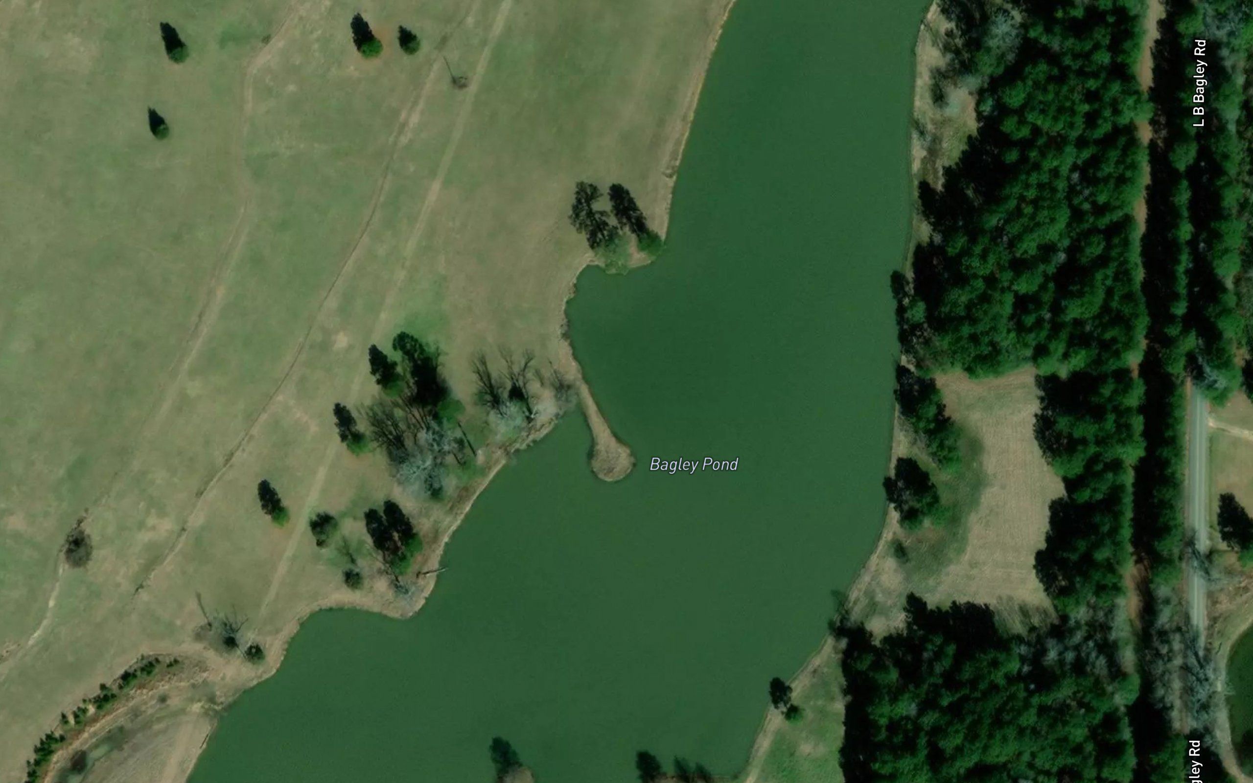 Bagley Pond