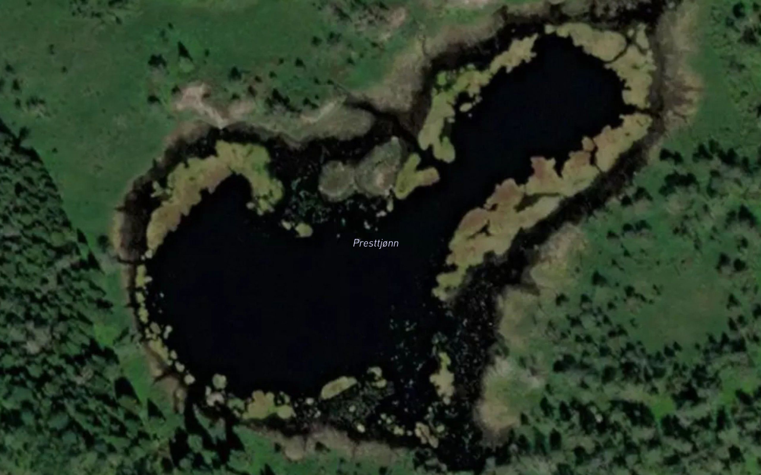 Presttjonn