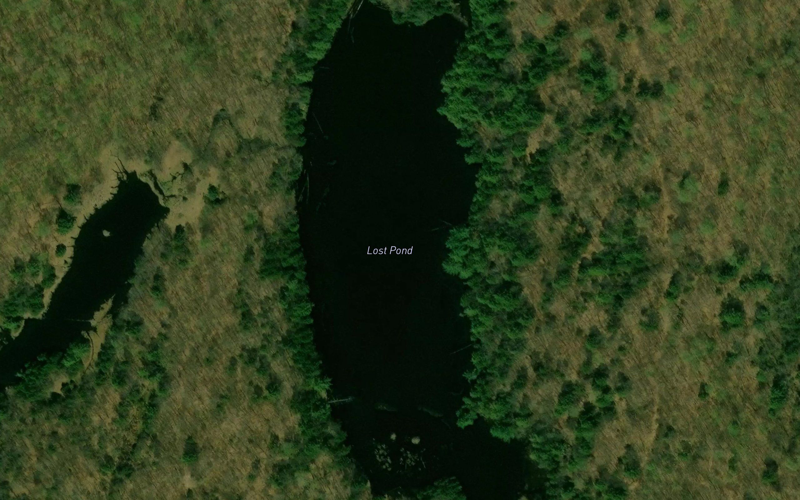 Lost Pond