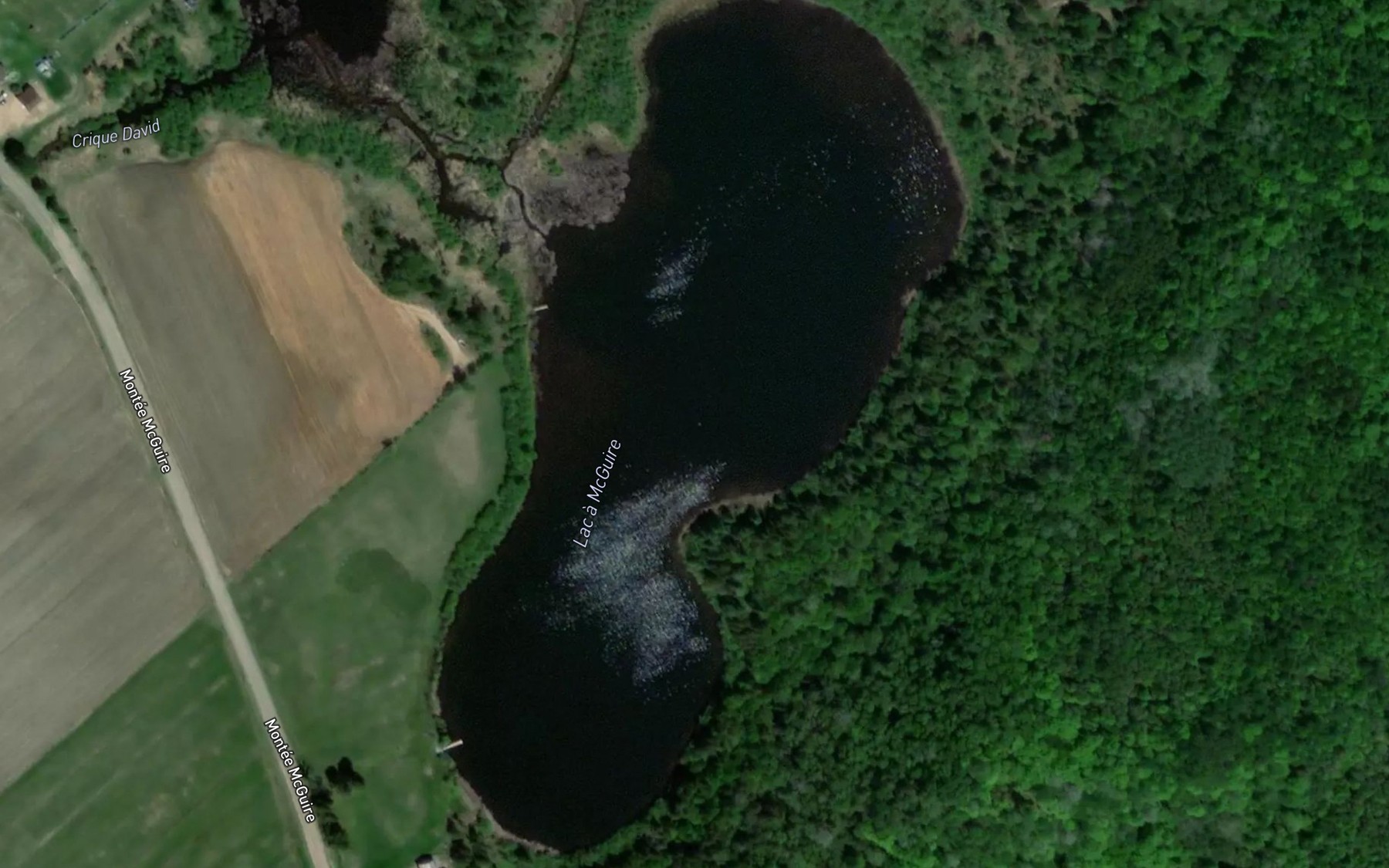 Satellite map of the Lac a McGuire