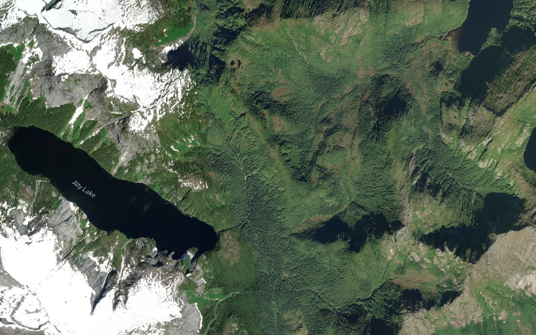 Satellite map of the Alty Creek