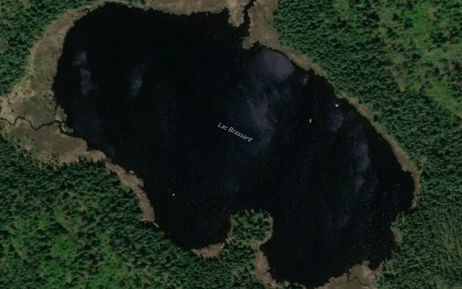Satellite map of the Lac Brassard