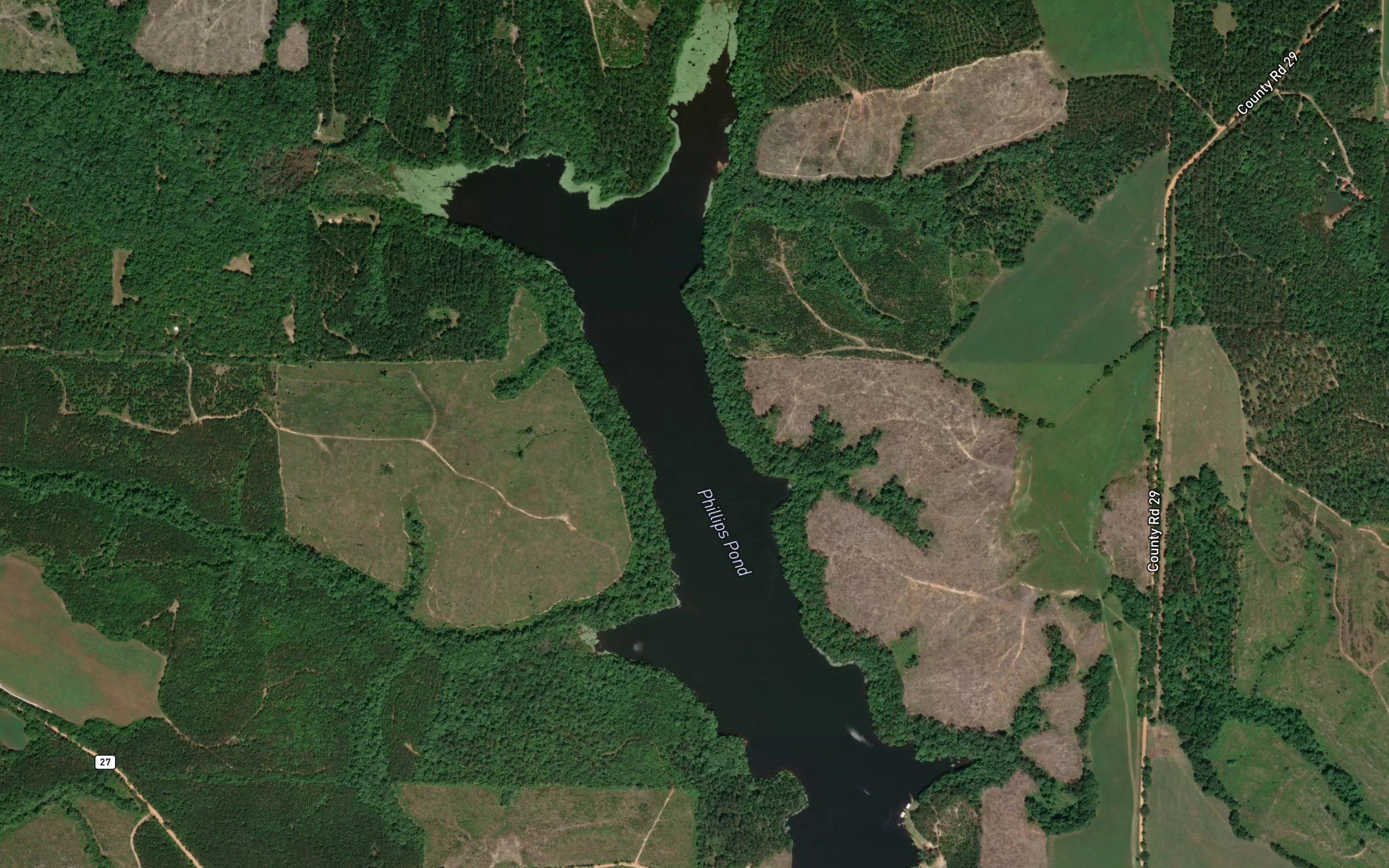 Phillips Pond