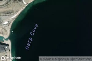 Harp Cove