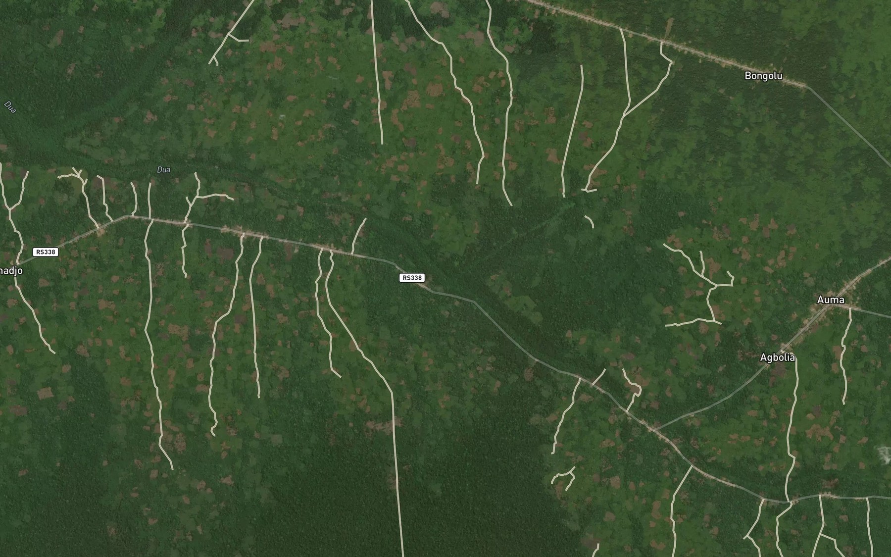 Satellite map of the Bunga