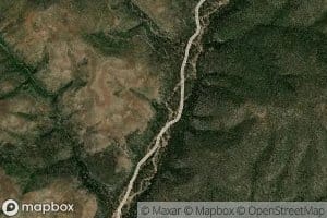 Bear Spring