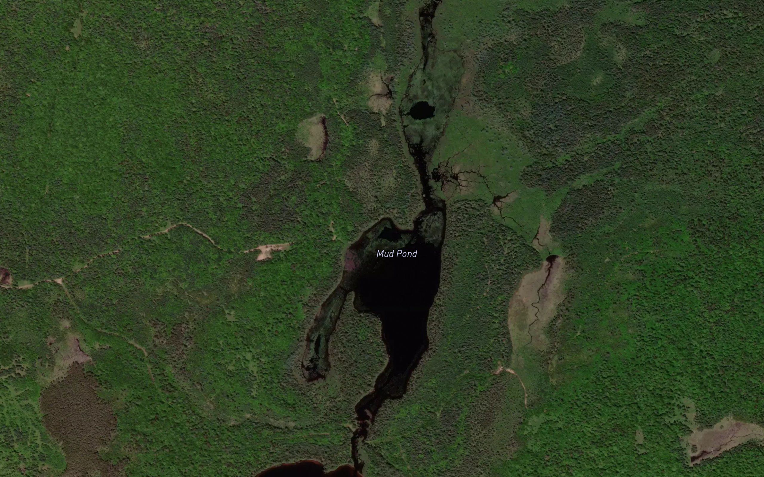 Mud Pond