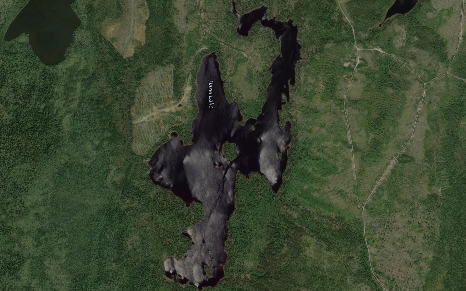 Satellite map of the Hazel Lake