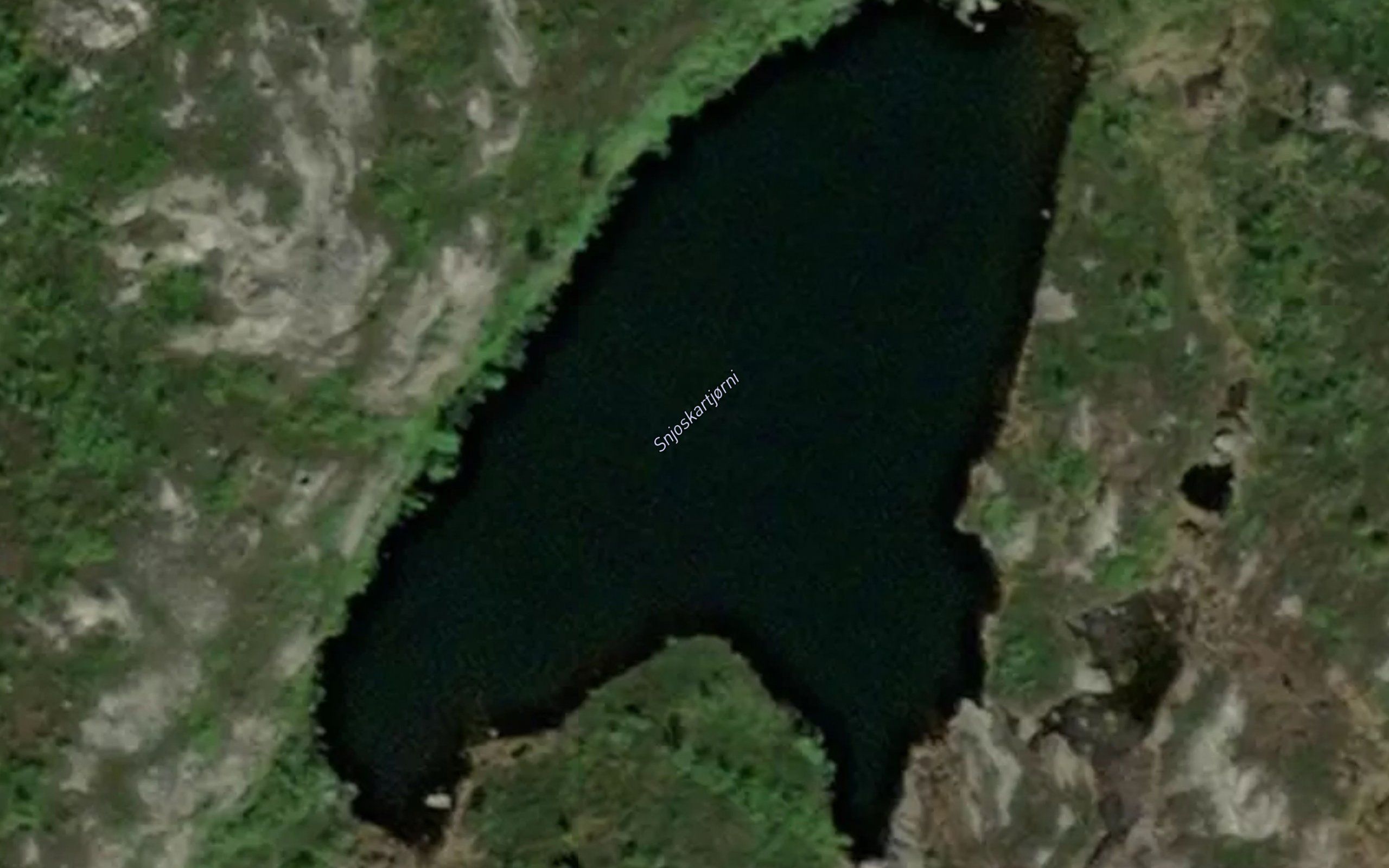 Snjoskartjorni