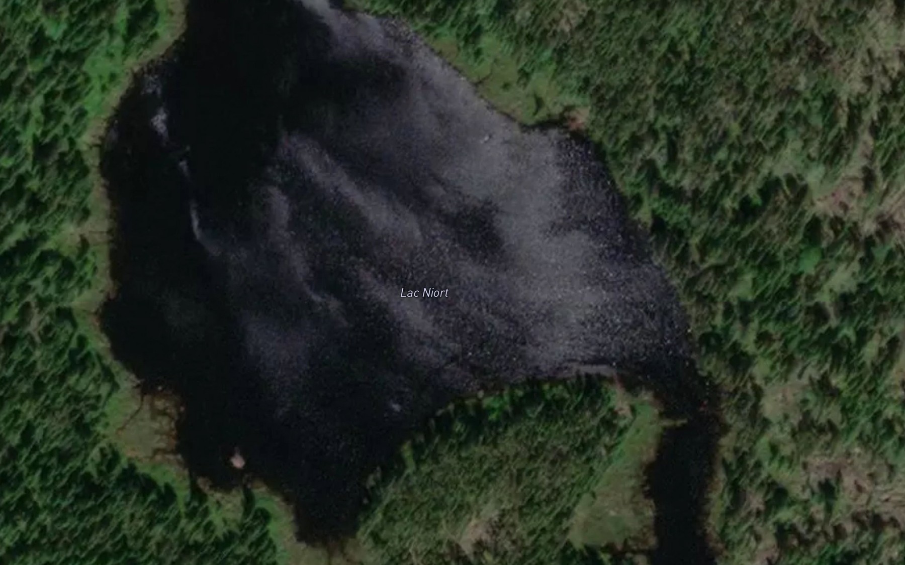 Satellite map of the Lac Niort