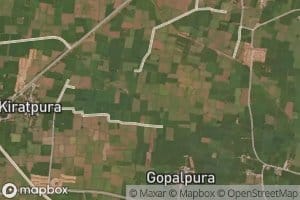 Eighteen Left Distributary