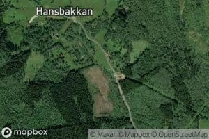 Hansbakkelva